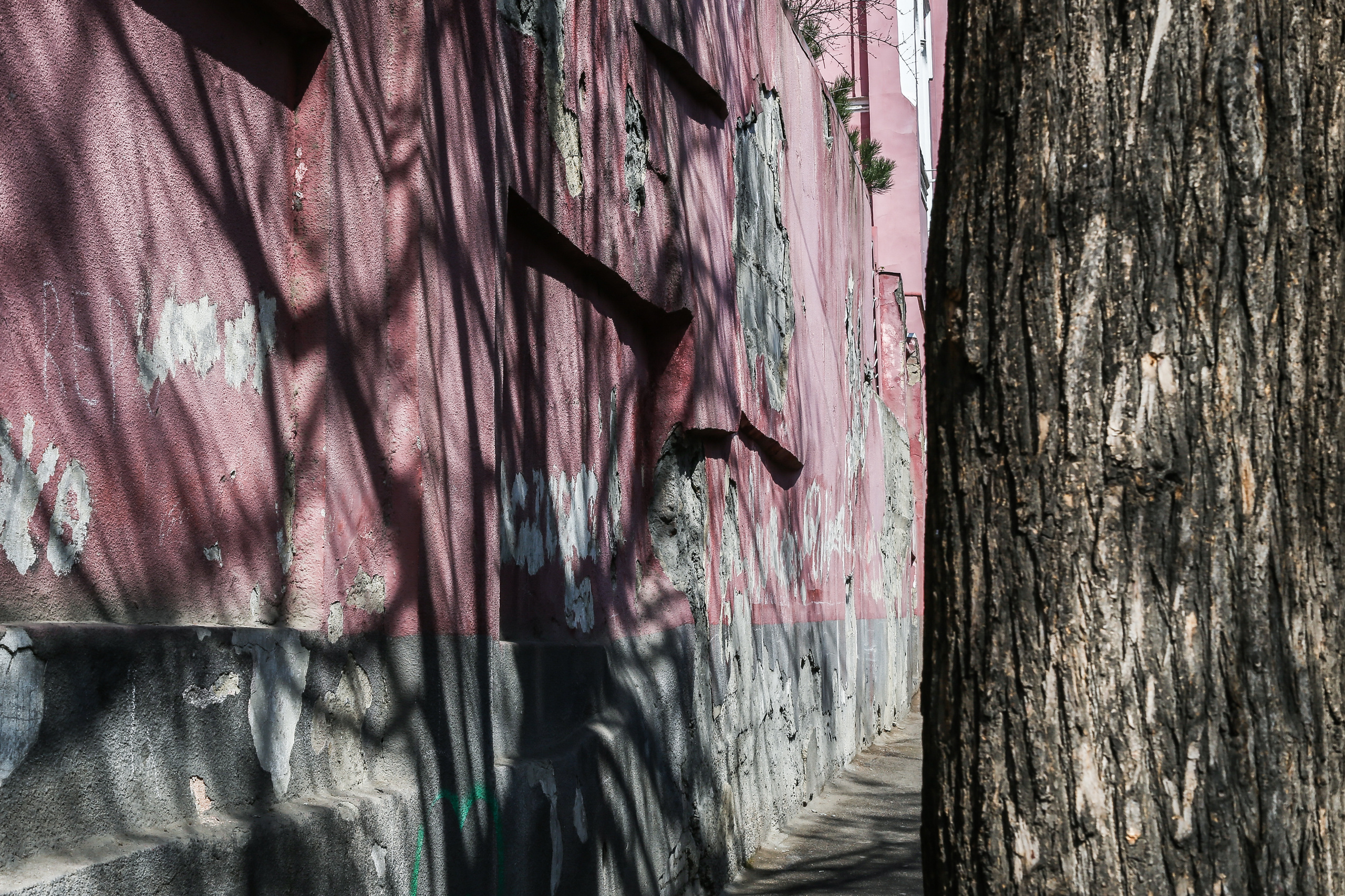 Грузия, Тбилиси. Фотограф Юля Постнова