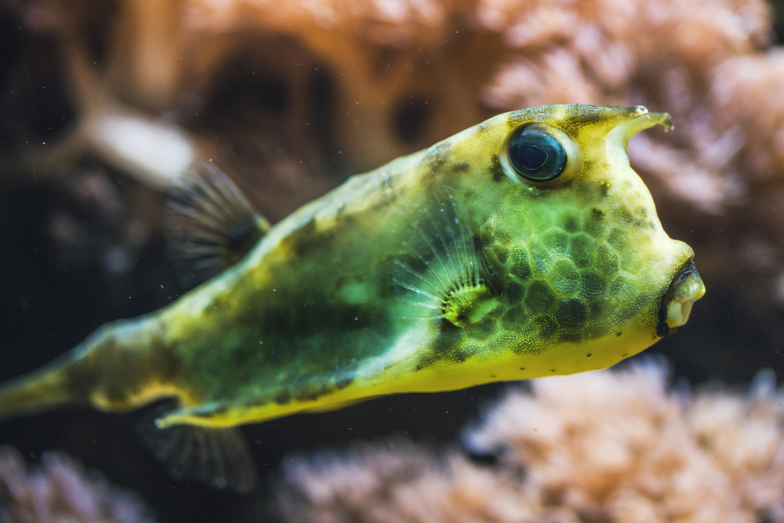 Природа. Фотограф Юля Постнова