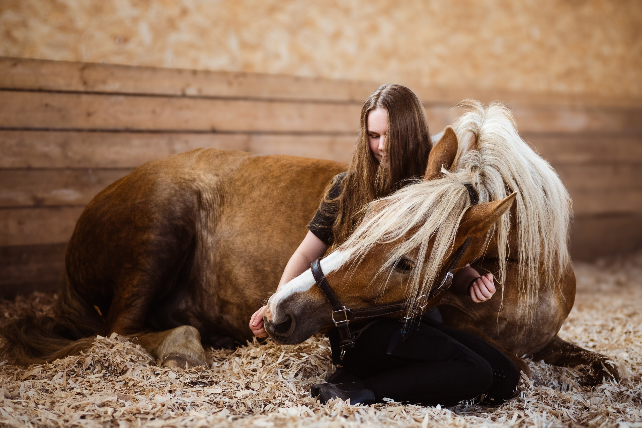 Фотосессия с лошадью. Фотограф в Санкт-Петербурге и Москве Наталья Милли