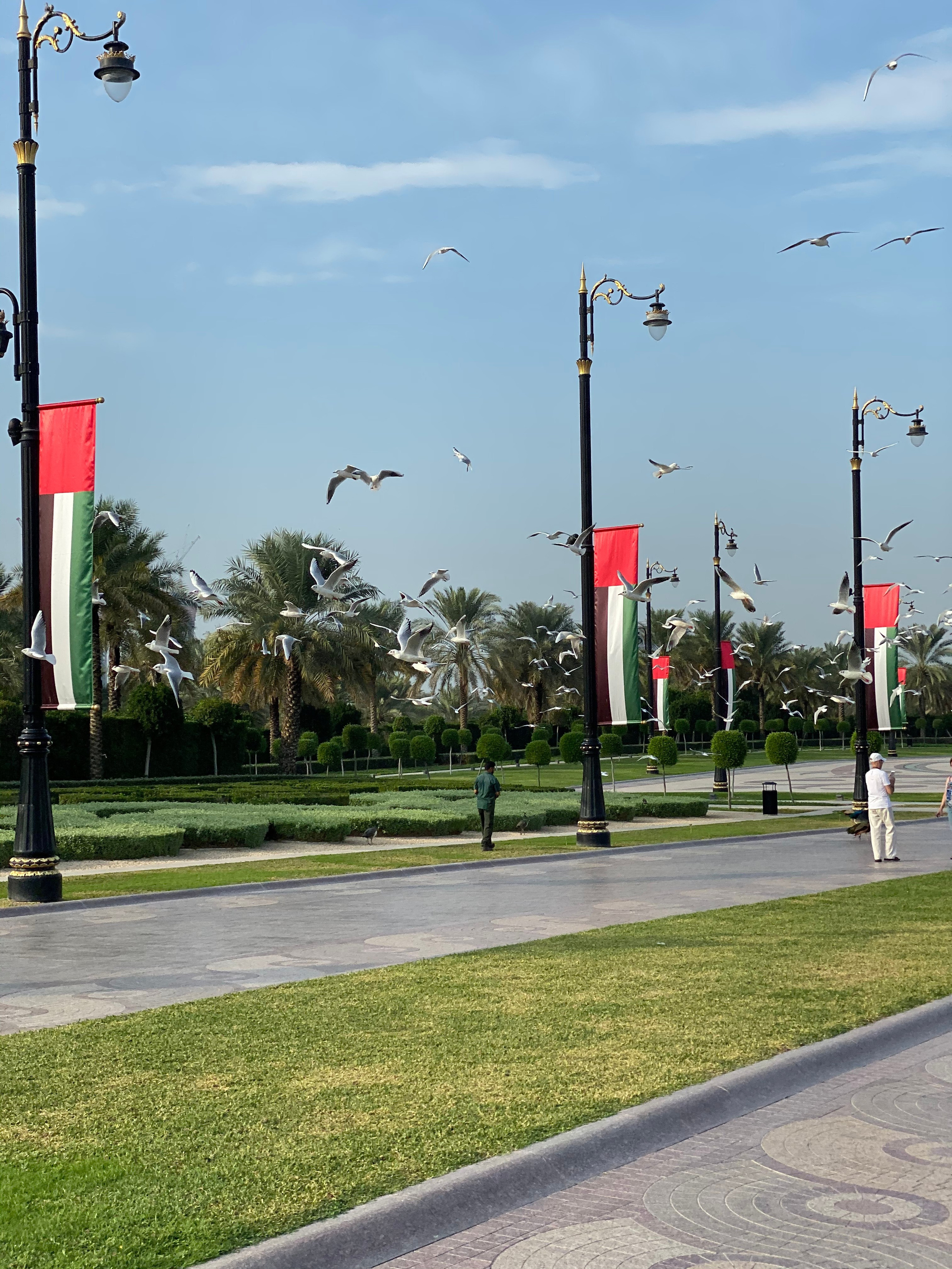 Эмираты — 19. Своя Мастерская