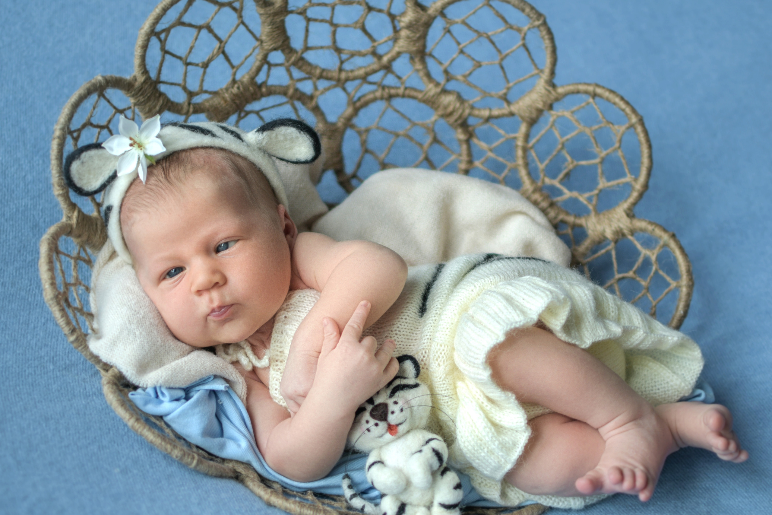 Фотосессии Newborn. Фотограф newborn (новорожденных) в Санкт-Петербурге Алена Алексеева