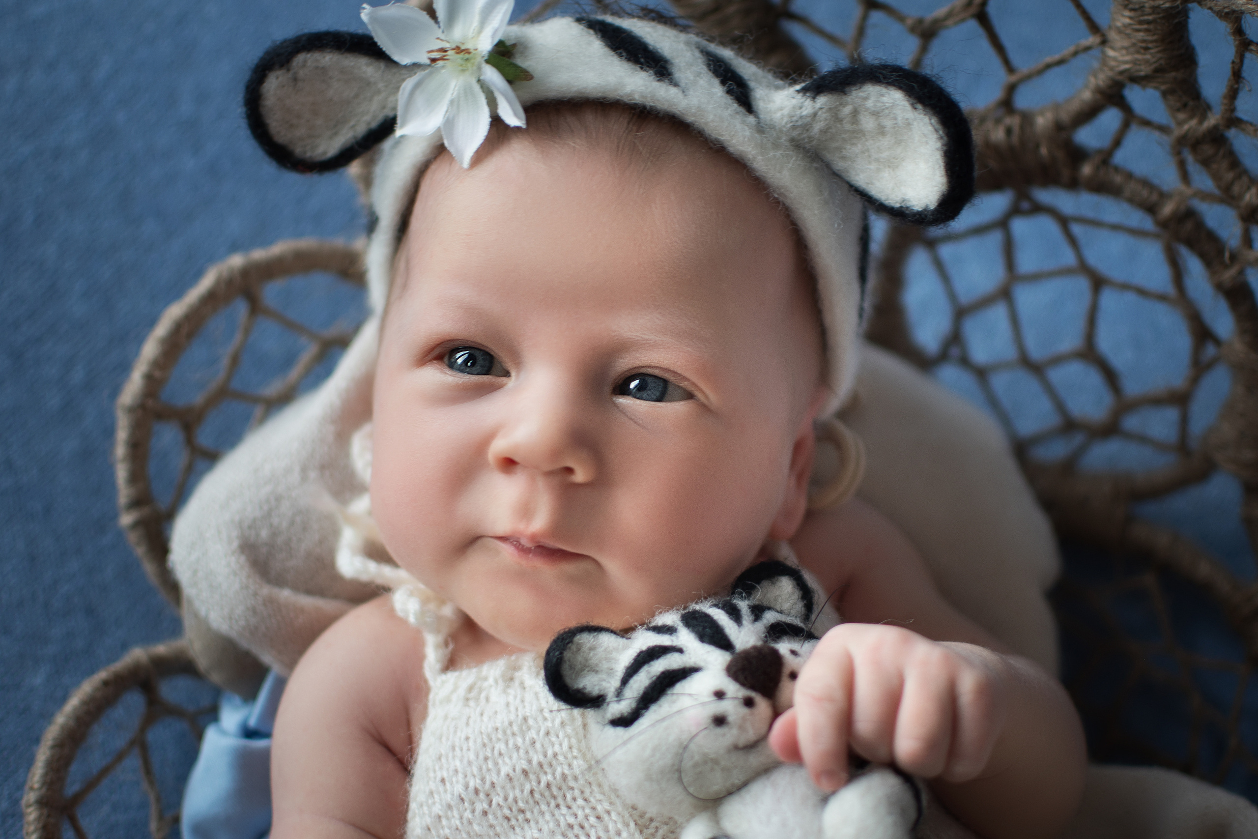 Фотосессии Newborn. Фотограф newborn (новорожденных) в Санкт-Петербурге Алена Алексеева