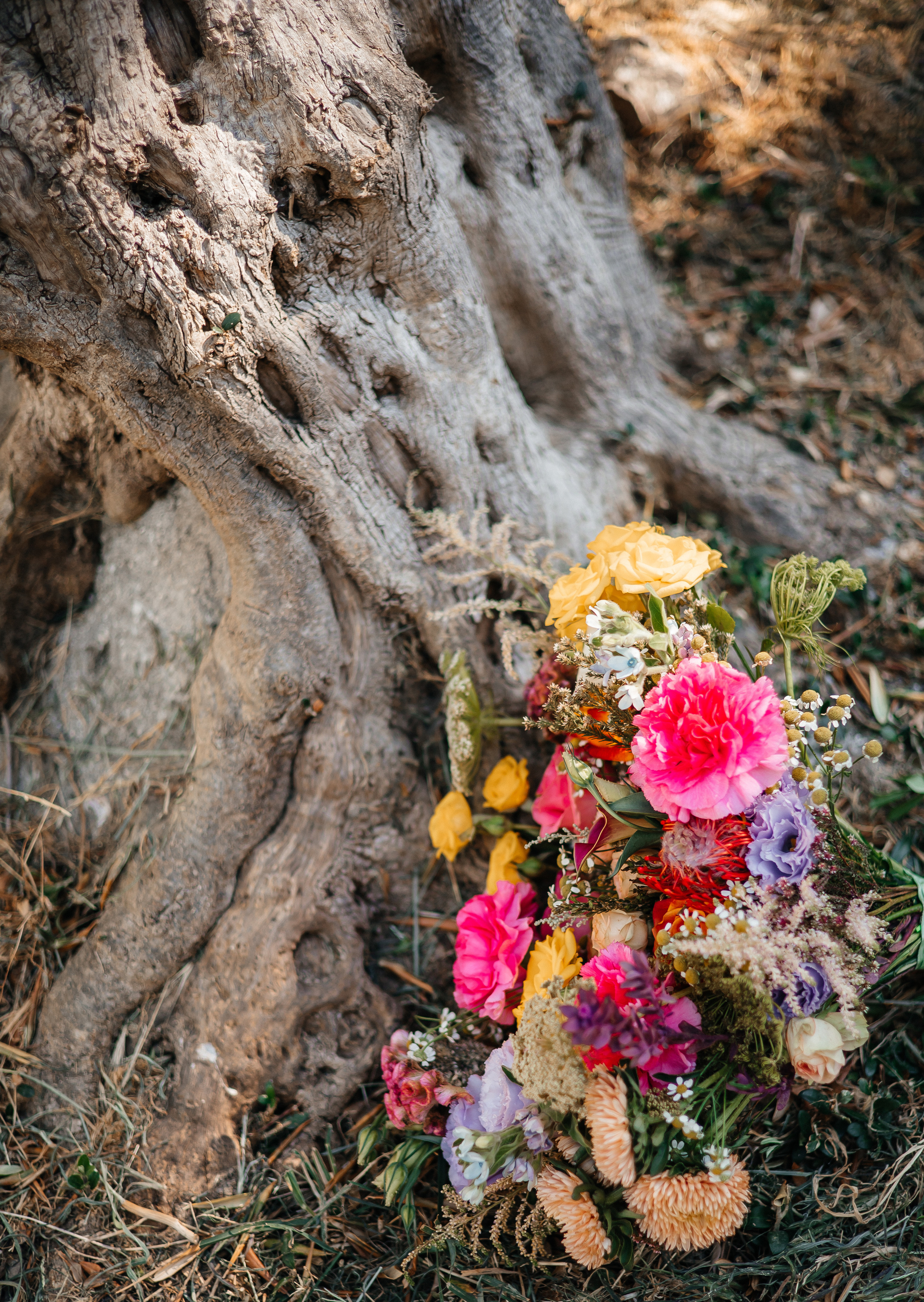 Wild Flowers. Главная
