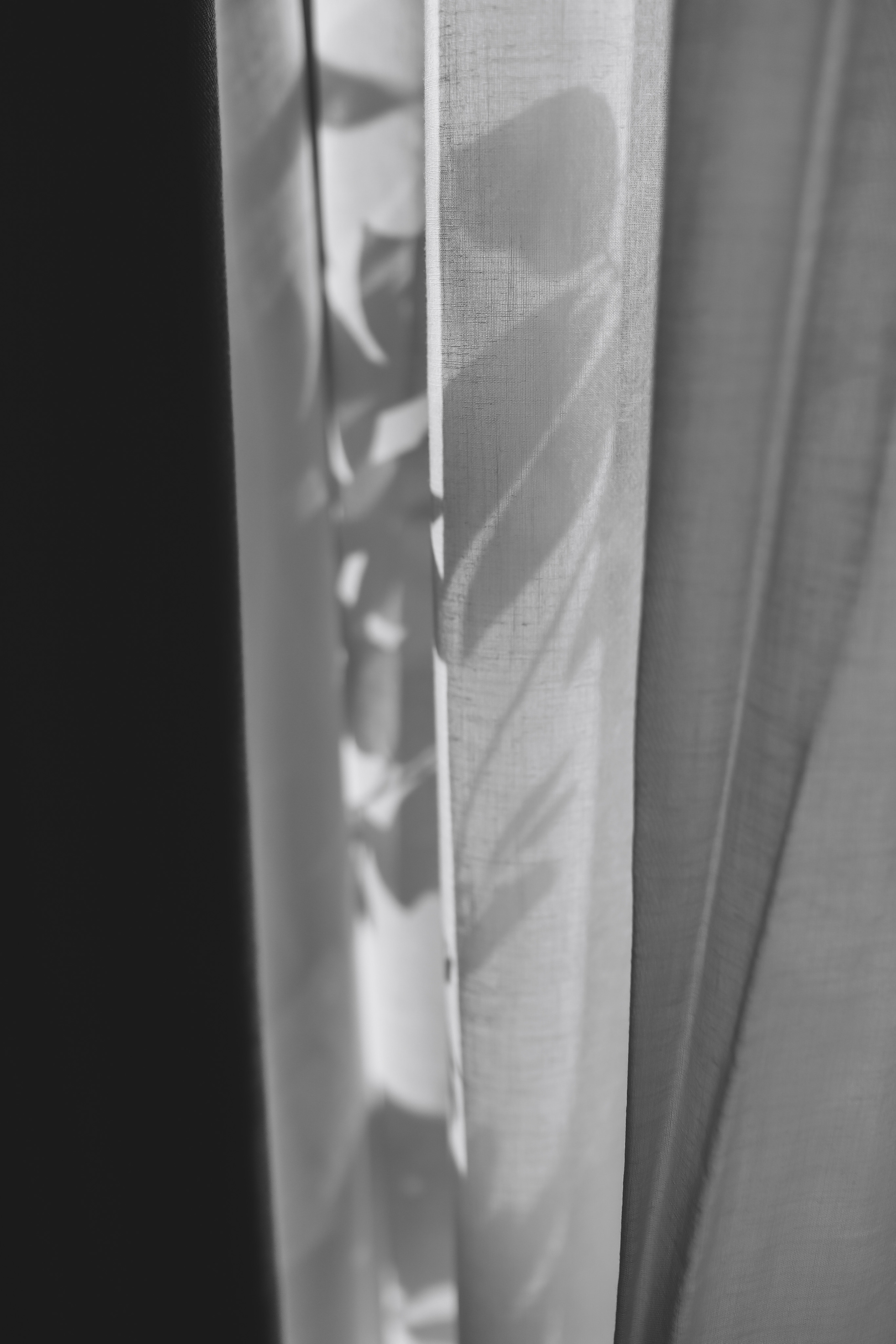 Amour, amour, amour. Главная