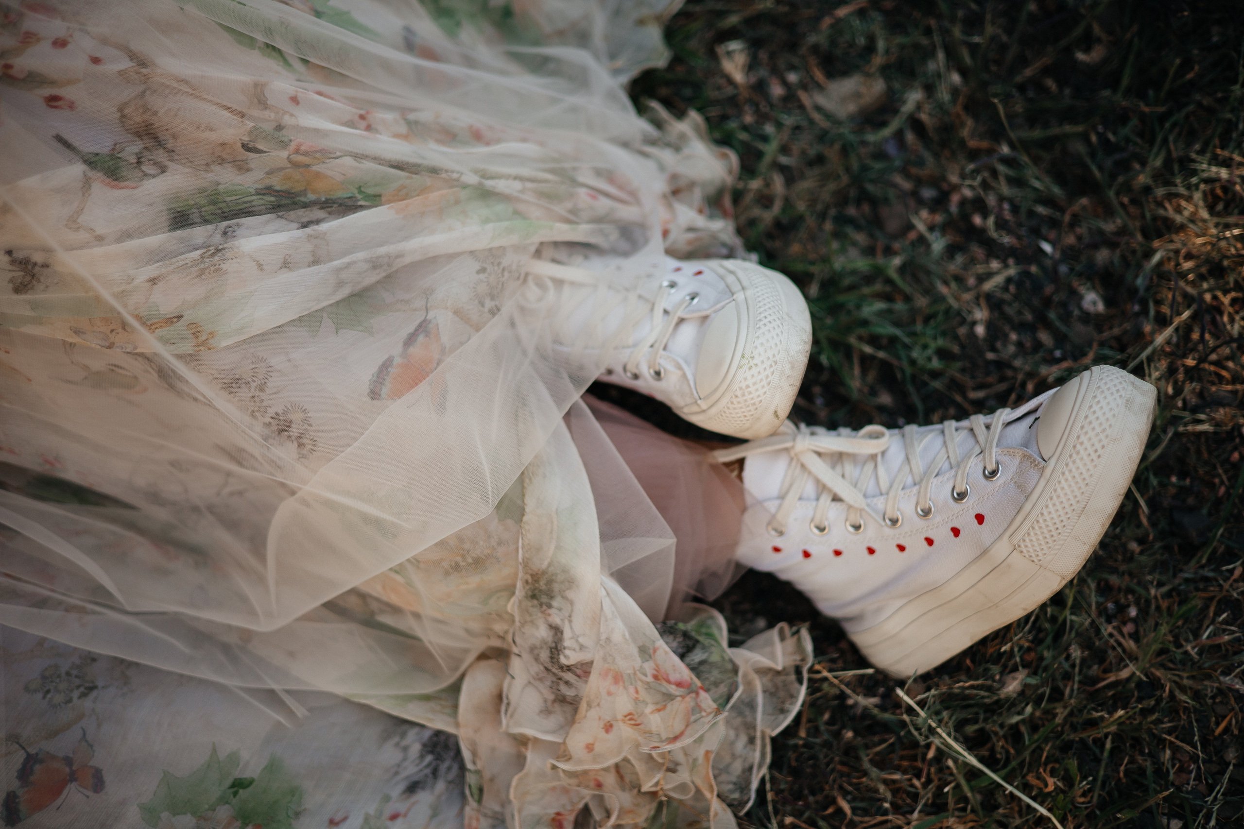 Wild Flowers. Главная