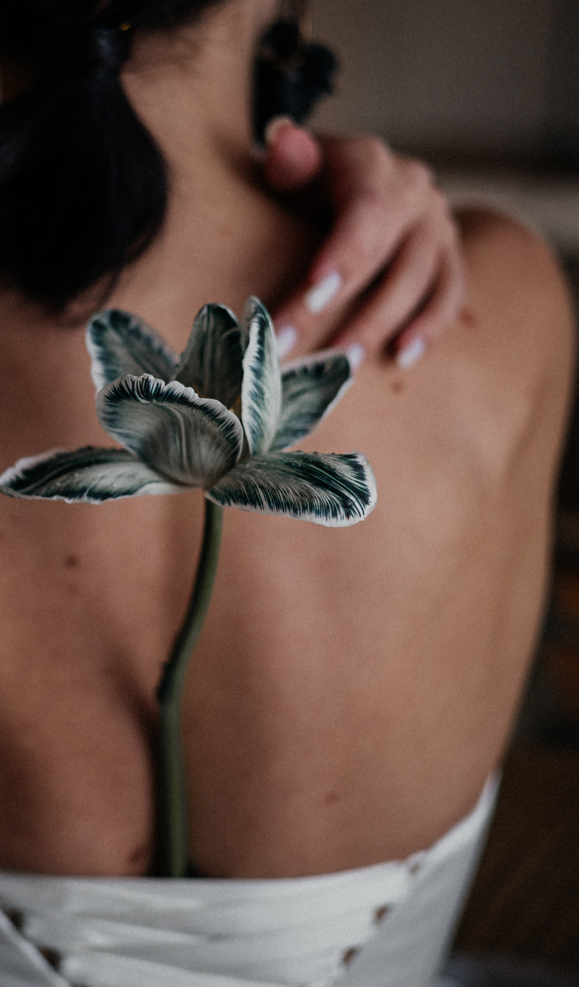 История пятая Черная монстера. Главная