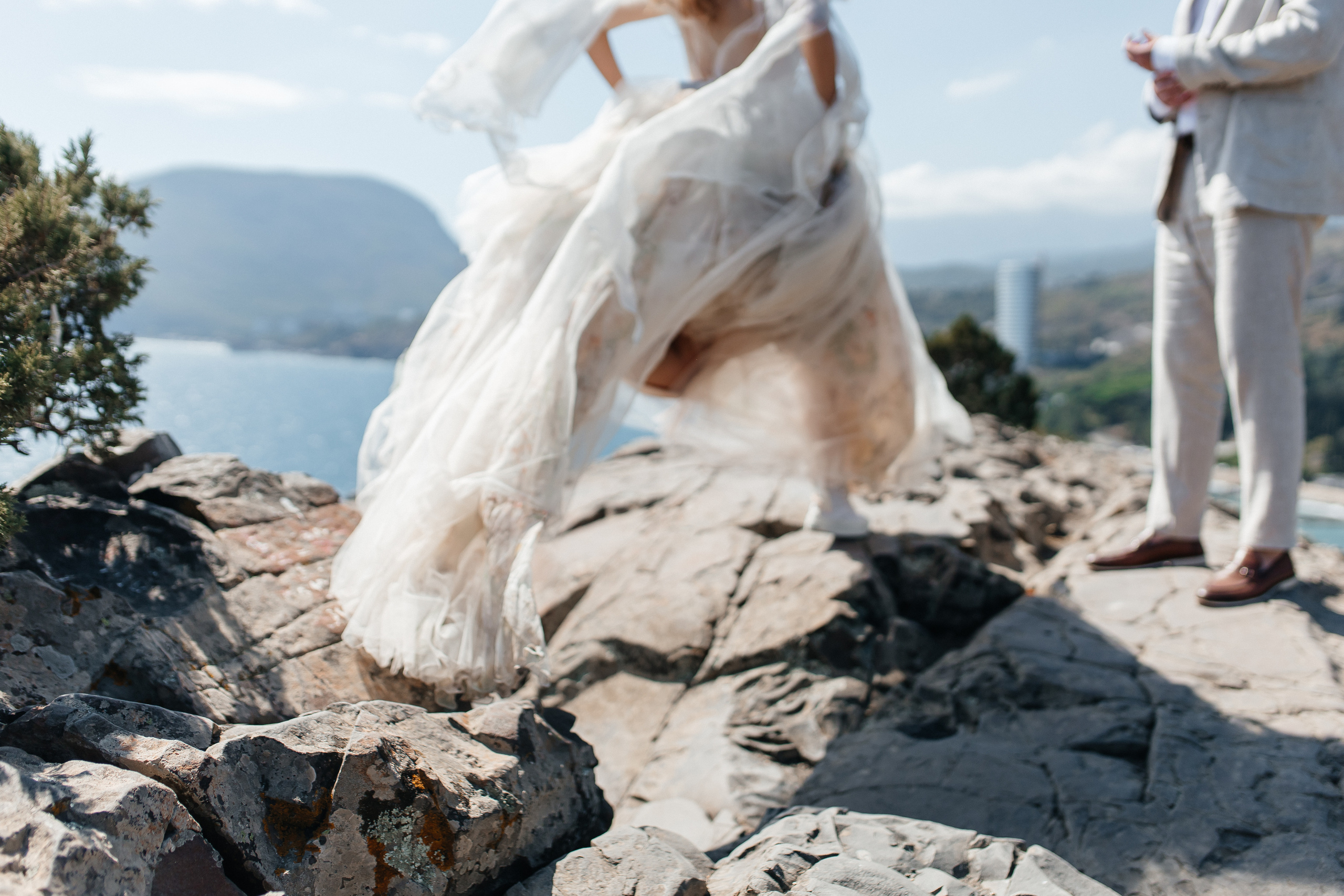 Wild Flowers. Главная