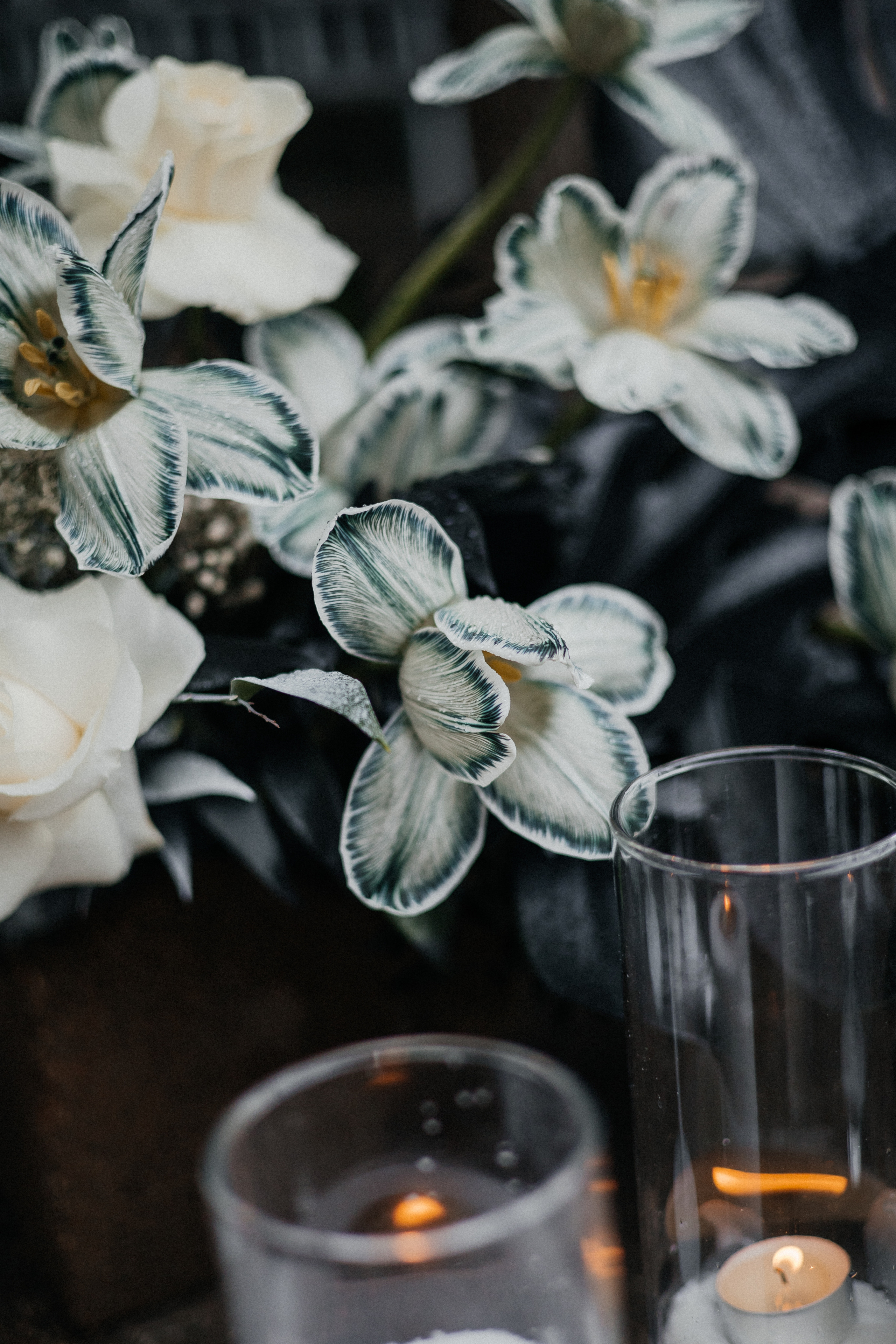 История пятая Черная монстера. Главная