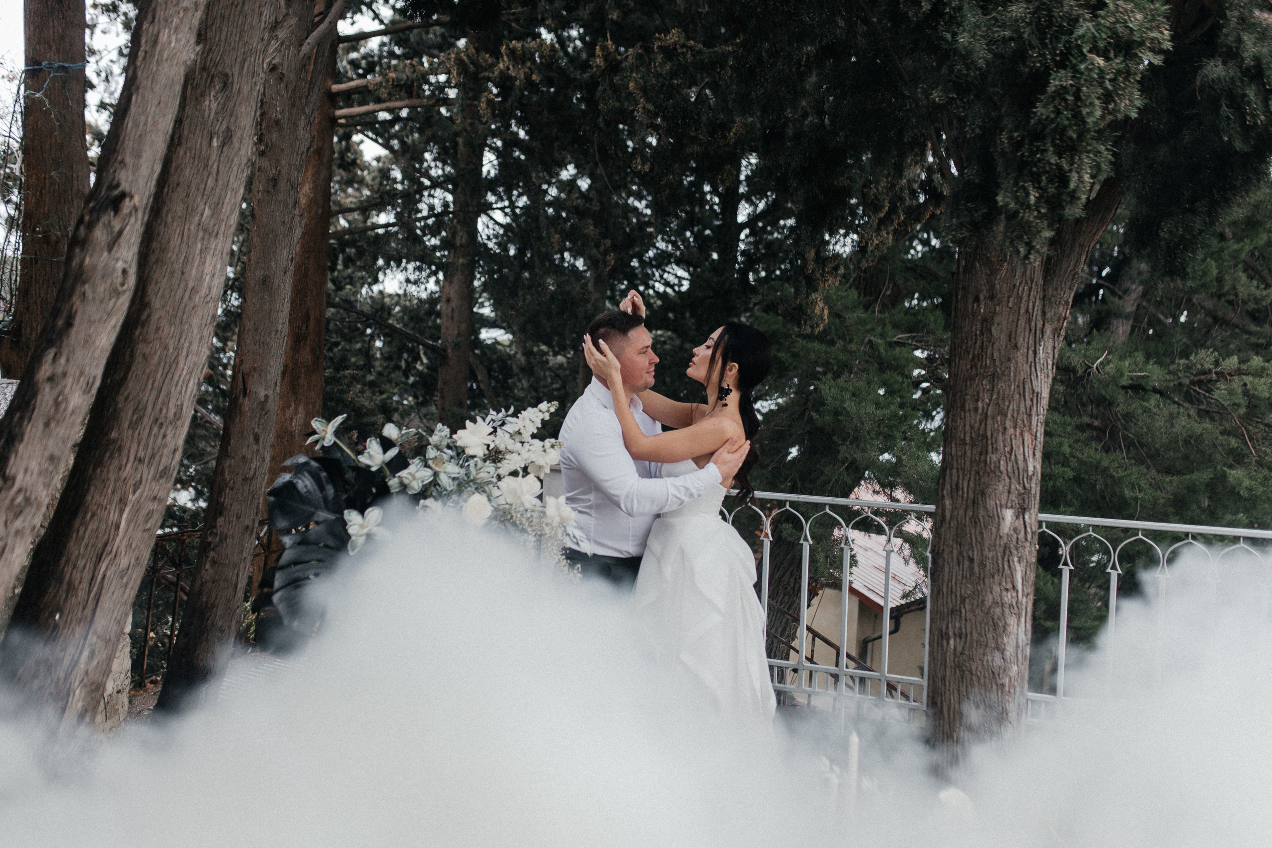 История пятая Черная монстера. Главная