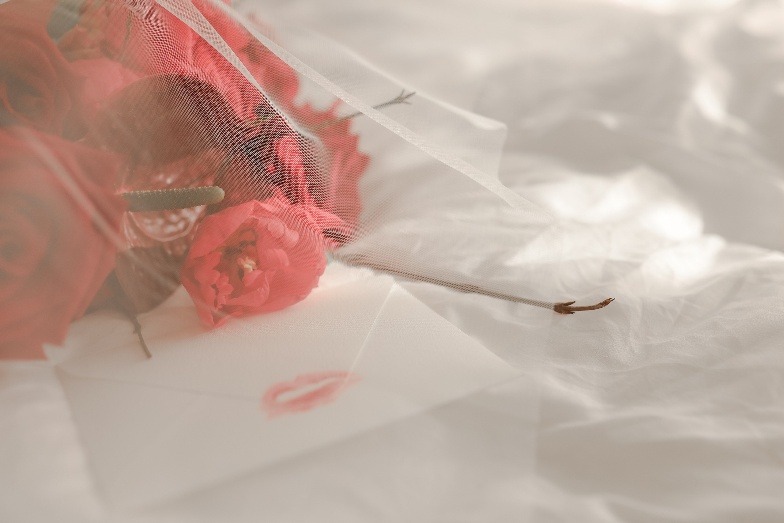 Amour, amour, amour. Главная