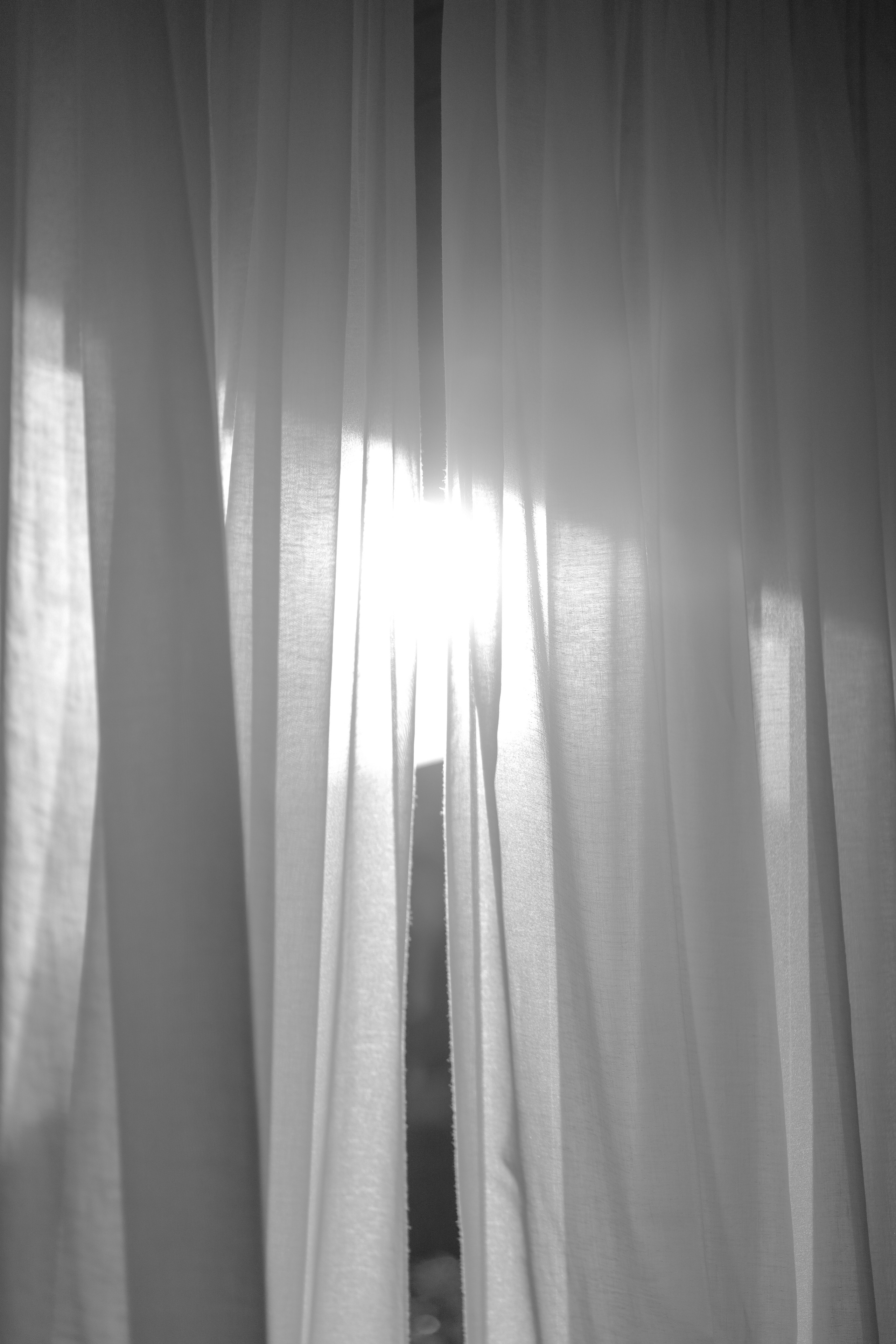 Amour, amour, amour. Главная