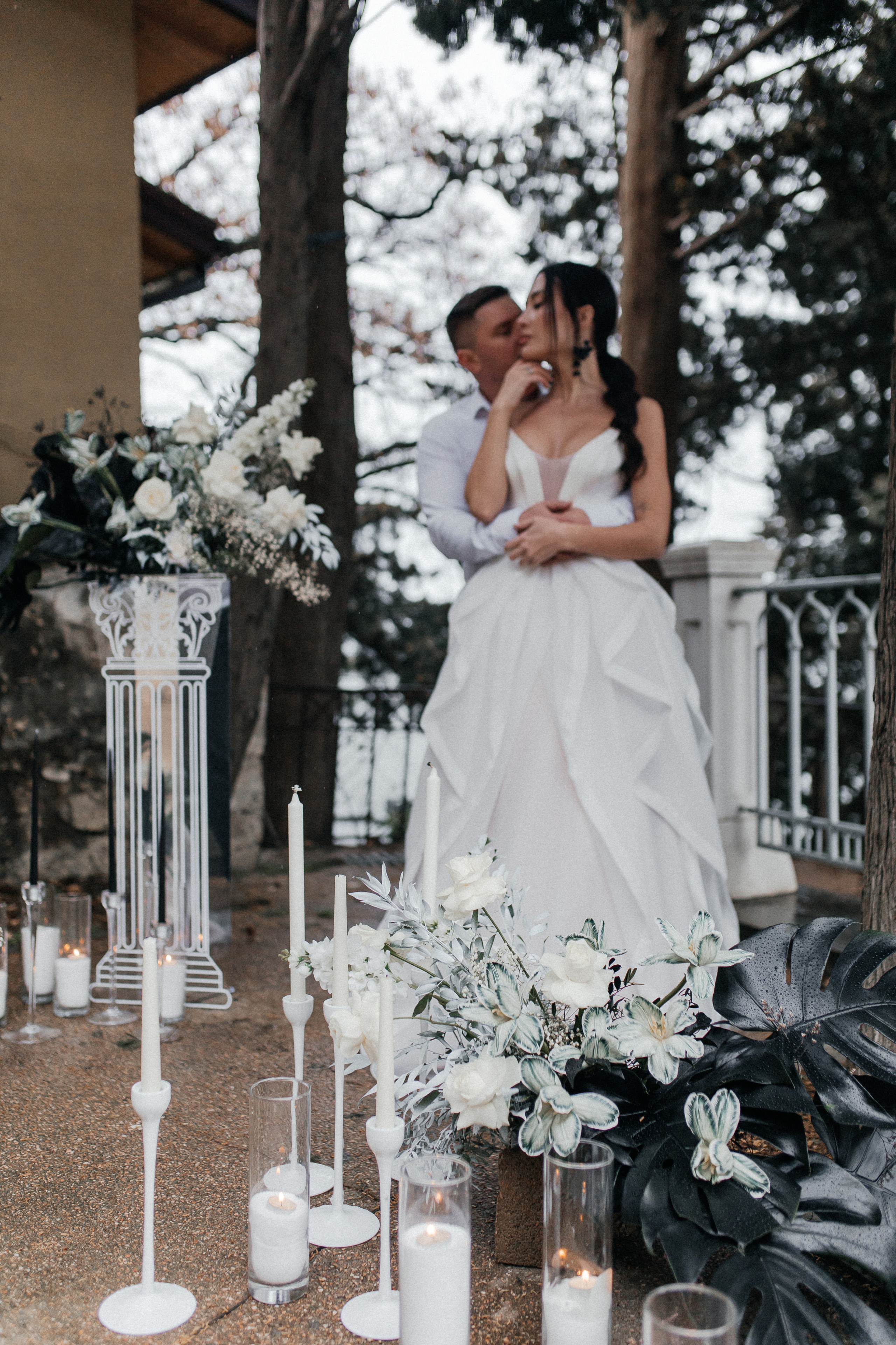 История пятая Черная монстера. Главная