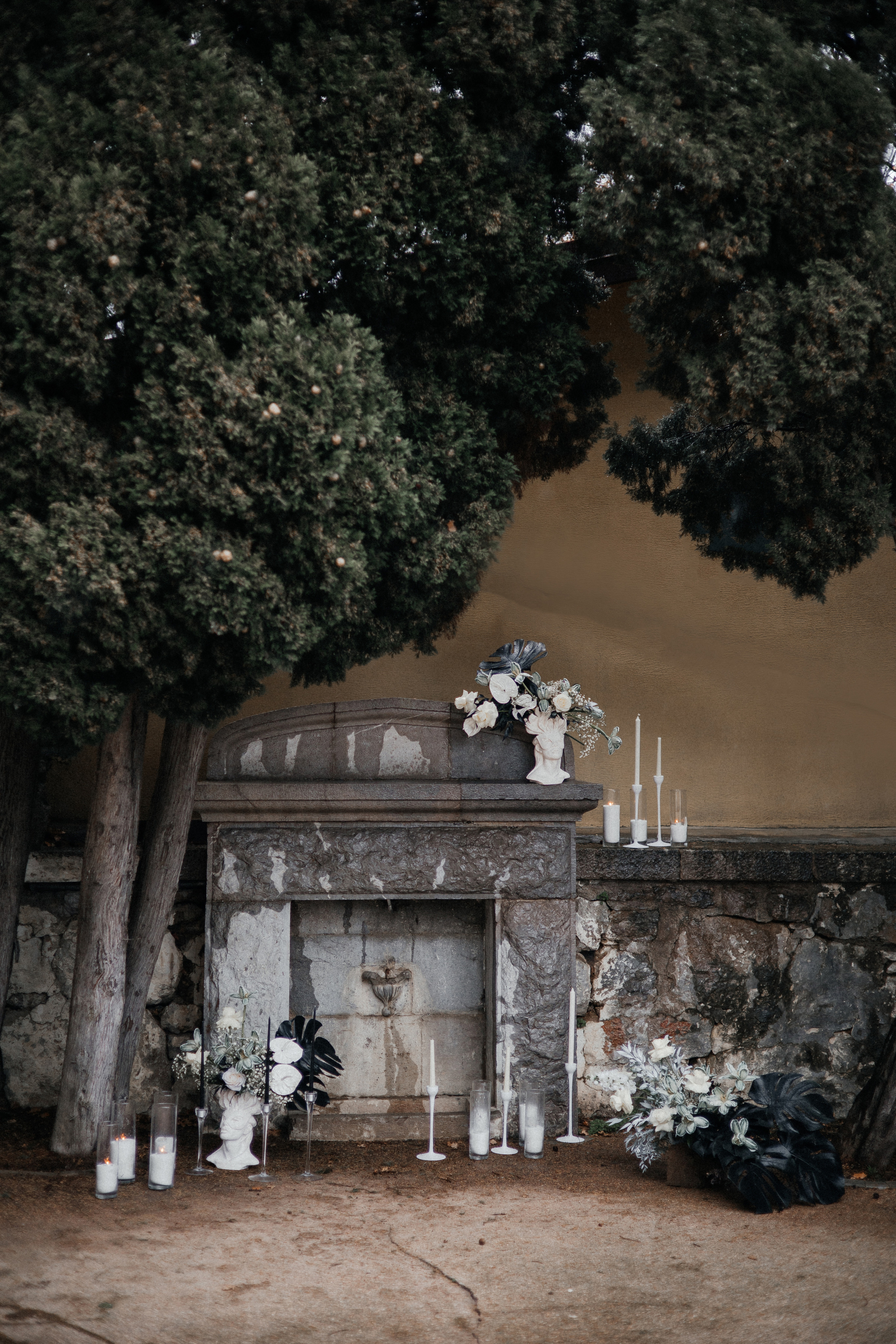 История пятая Черная монстера. Главная