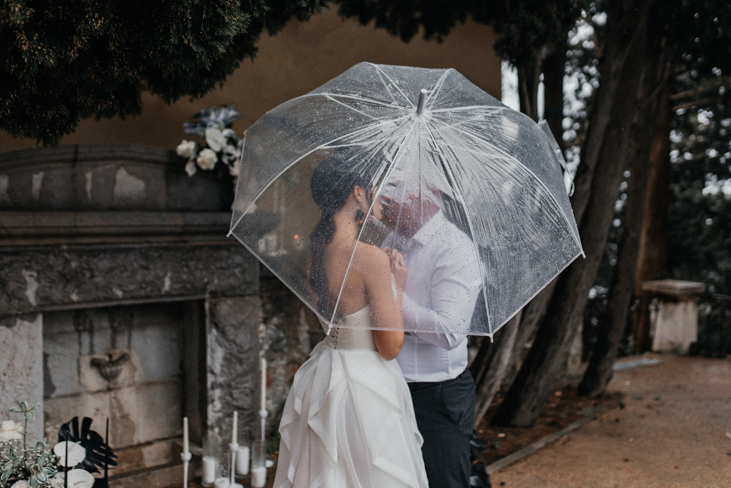 История пятая Черная монстера. Главная