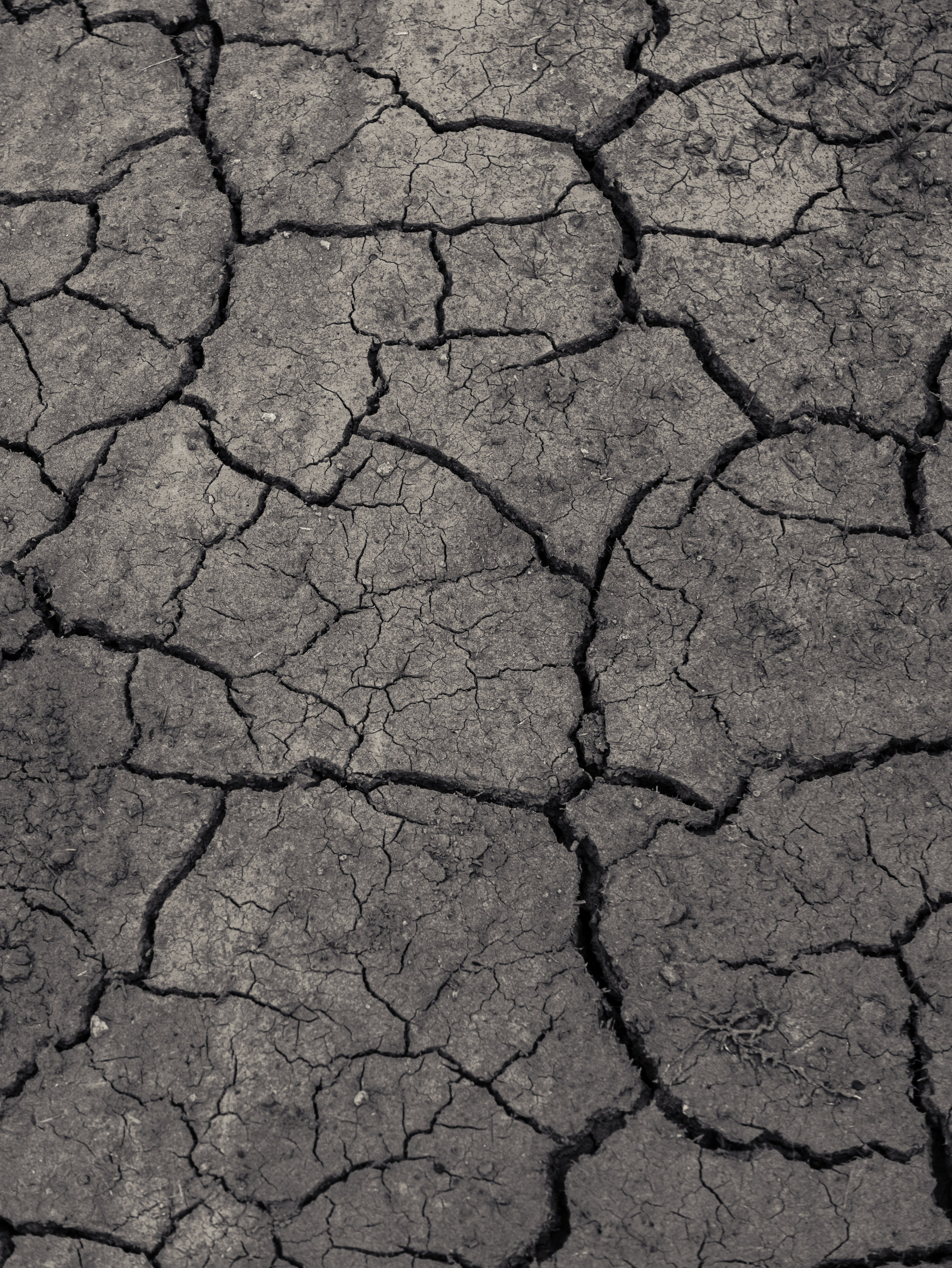 ГОМИС МТА. Photographer Barcelona