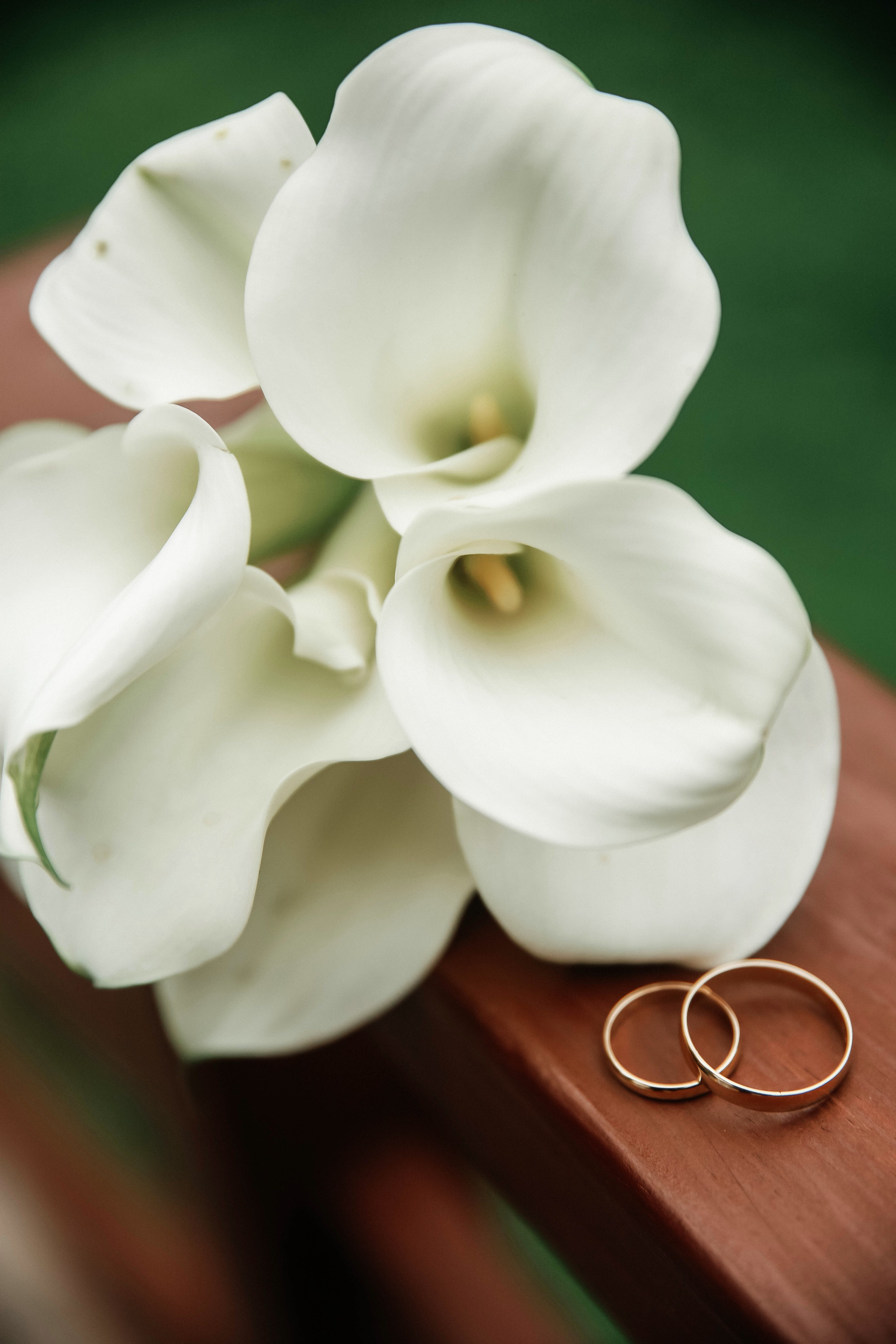 М&C. Свадебный и семейный фотограф в Москве