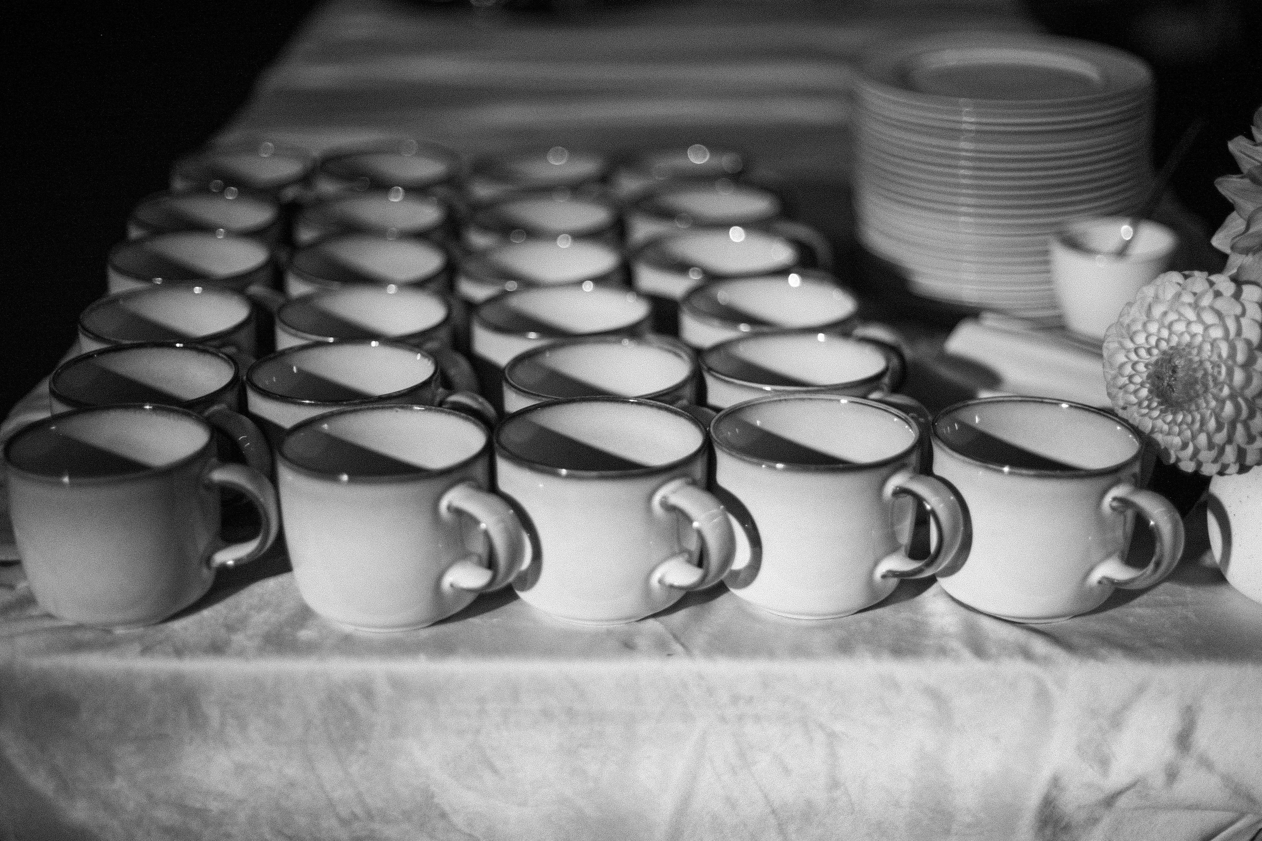 Аня и Кирилл (полный день с росписью). Фотограф Екатерина Максимова: семейные, индивидуальные съемки, свадьбы