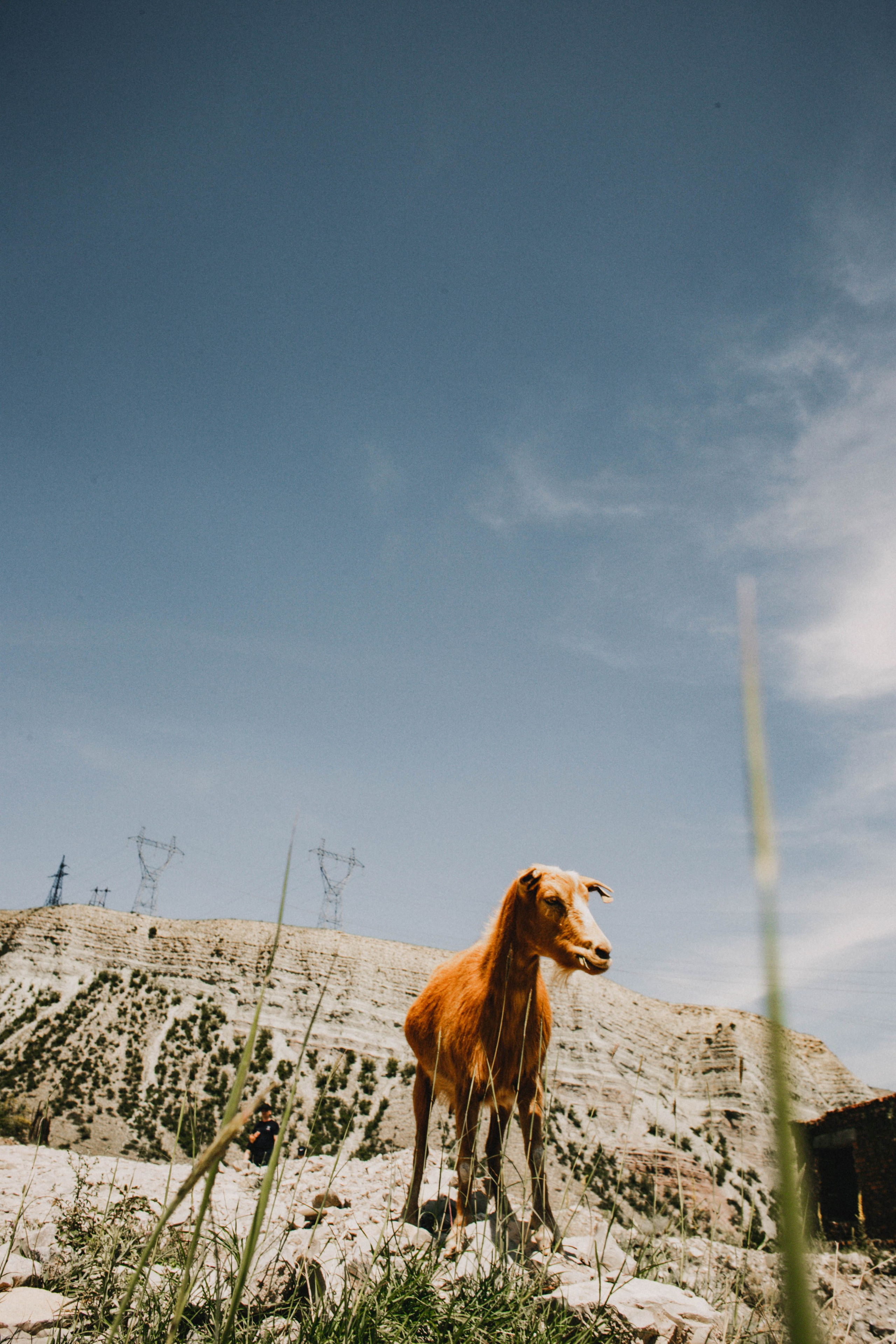 Дагестан. Чечня. 2024. Фотограф в Нижнем Новгороде