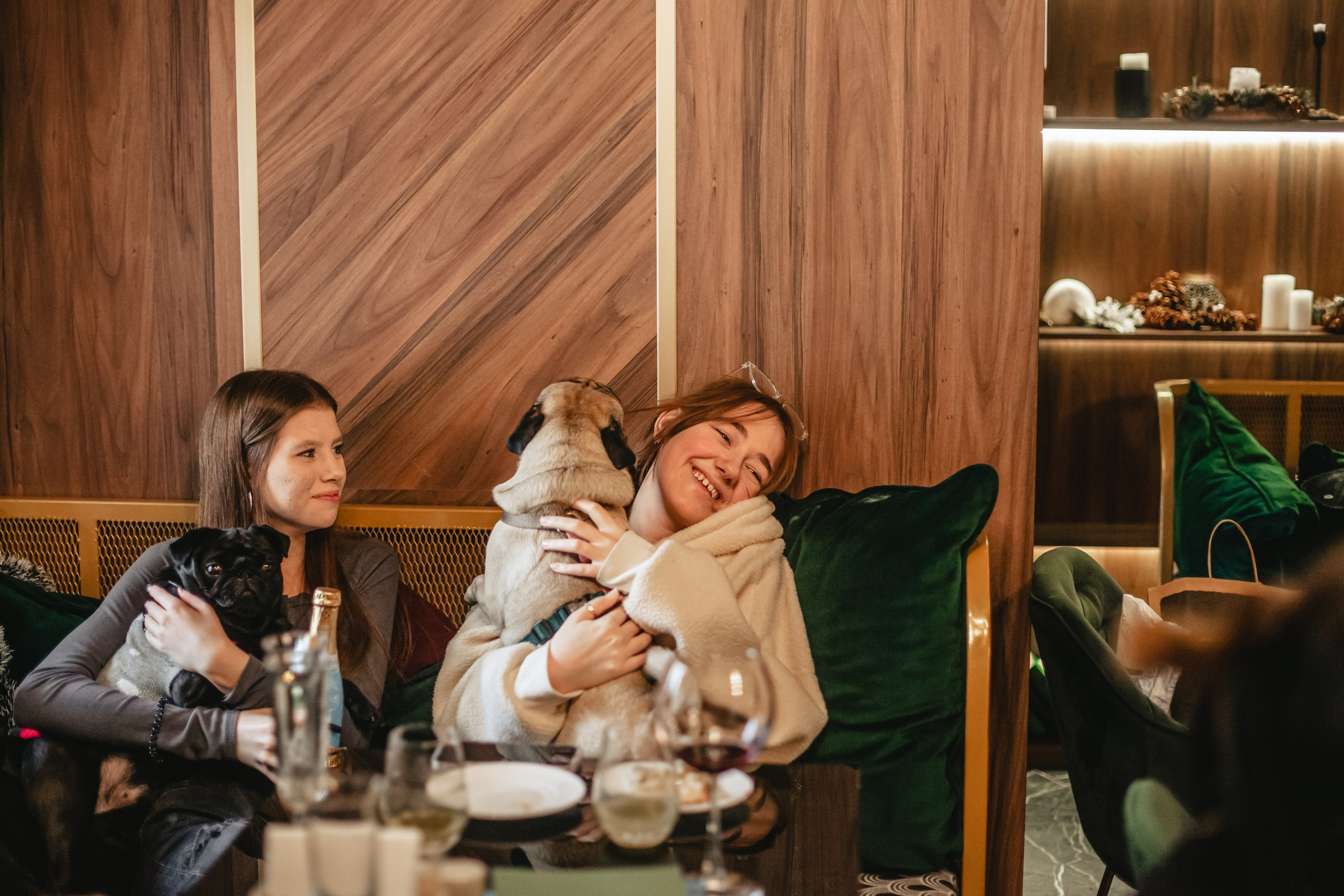 Мопсовстреча 02.12.2023. Фотограф-анималист Татьяна Степанова