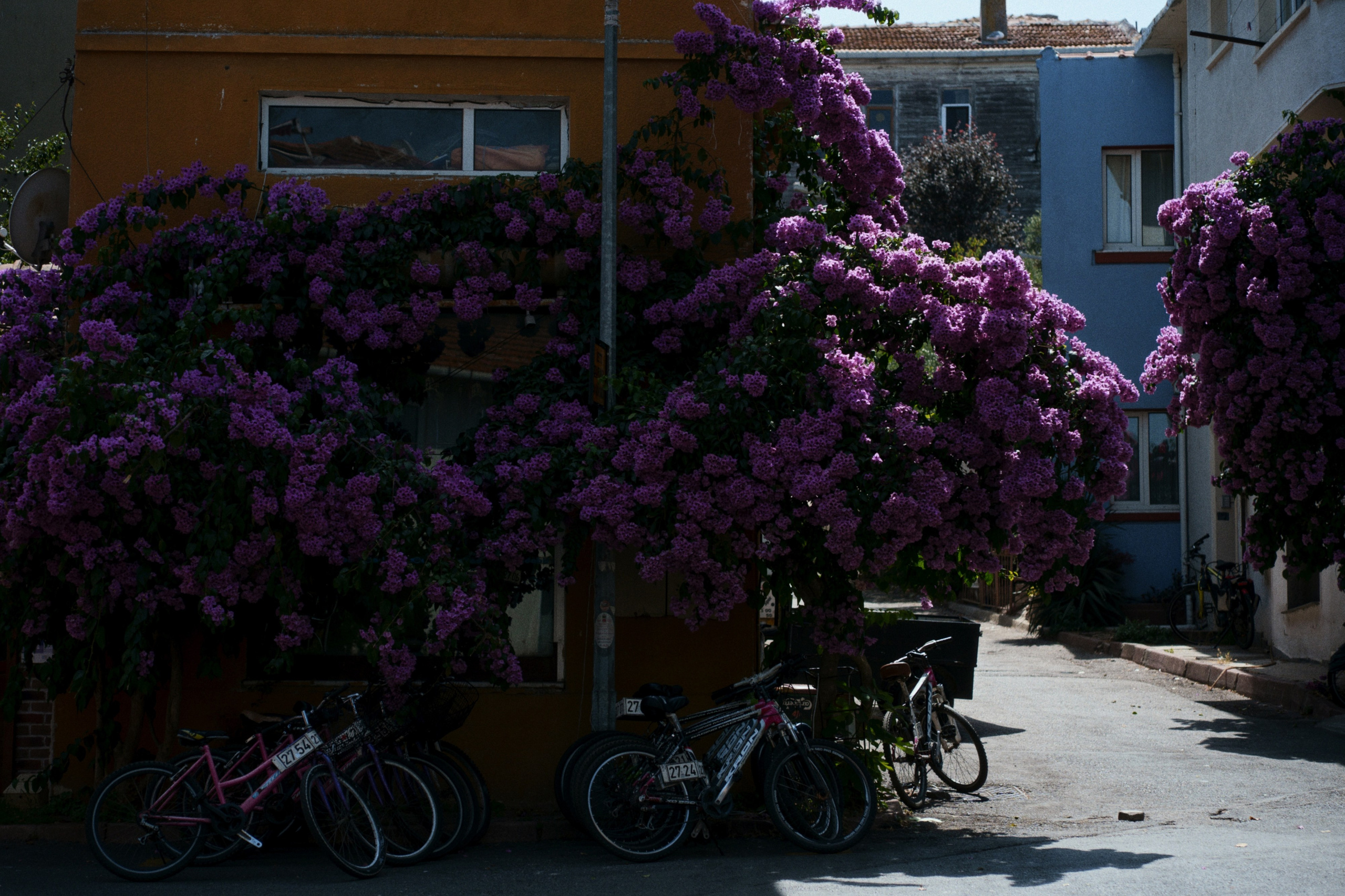 Büyükada х Heybeliada, Istanbul / Türkey SS25. Фотограф Юрин Евгений