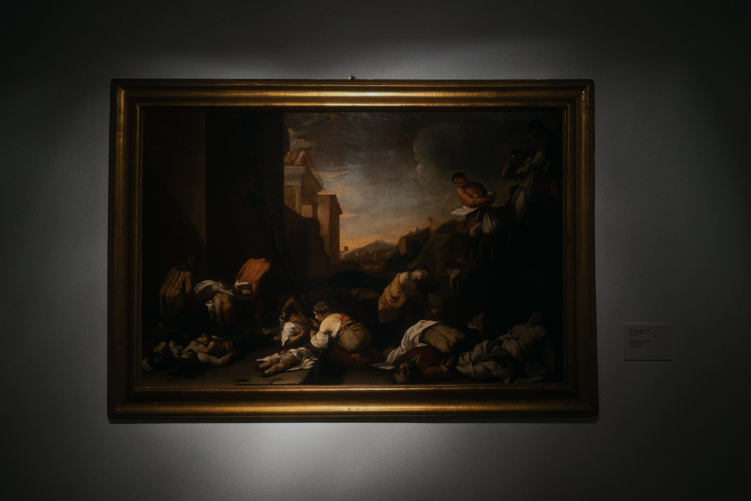 Gian Lorenzo Bernini / School. Фотограф Юрин Евгений