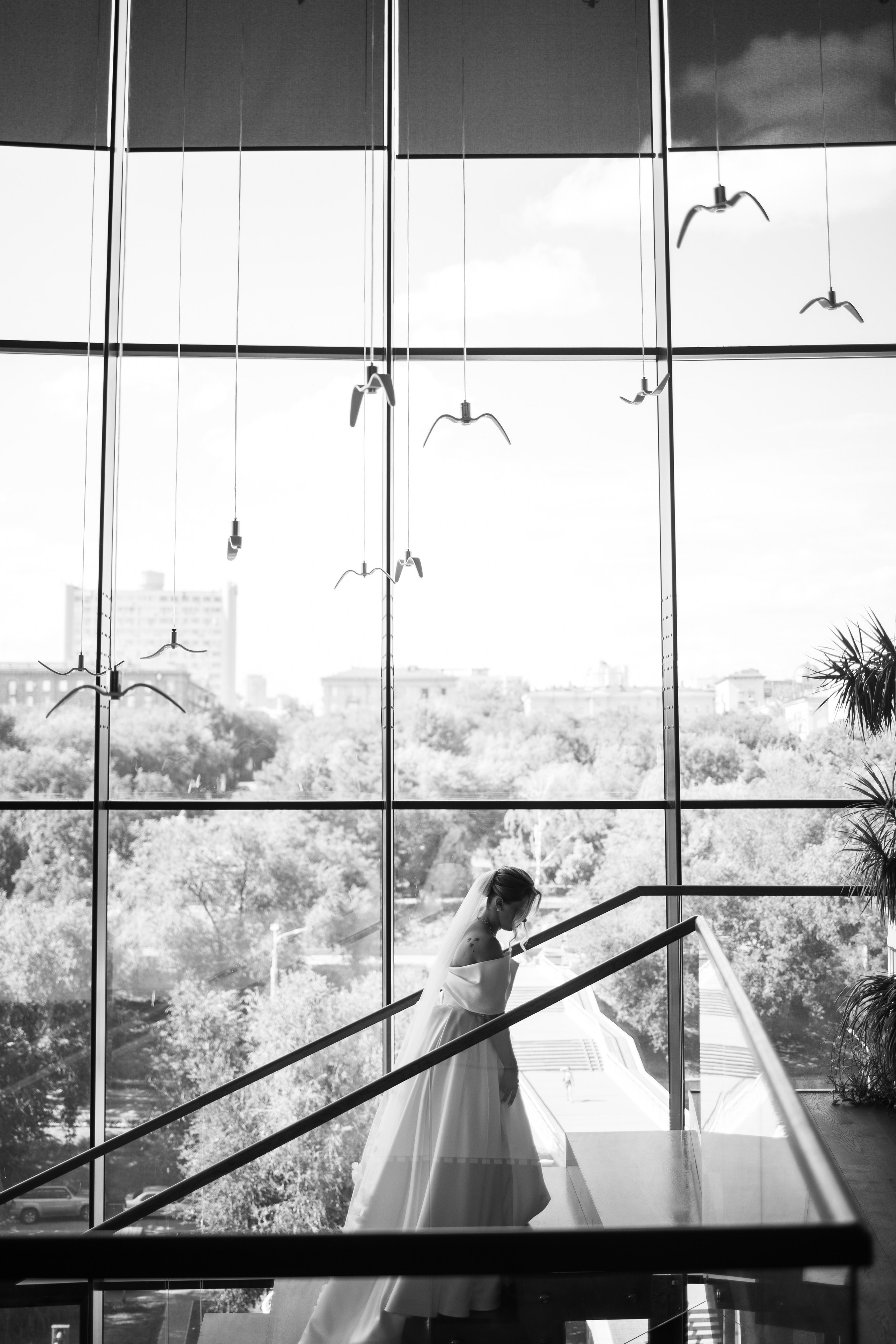 Свадебные серии. Photograph Svetlana Volkova