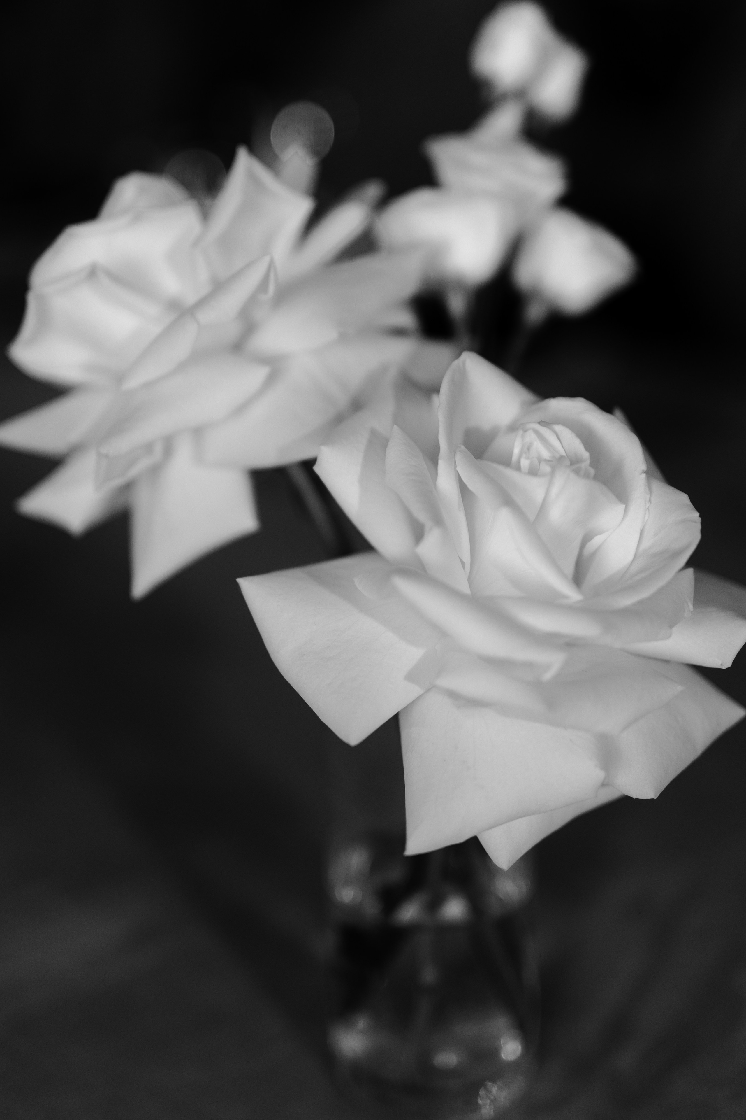 Свадьба Антона и Татьяны. Фотограф Кольчугино/Владимир/Москва Елизавета Иода