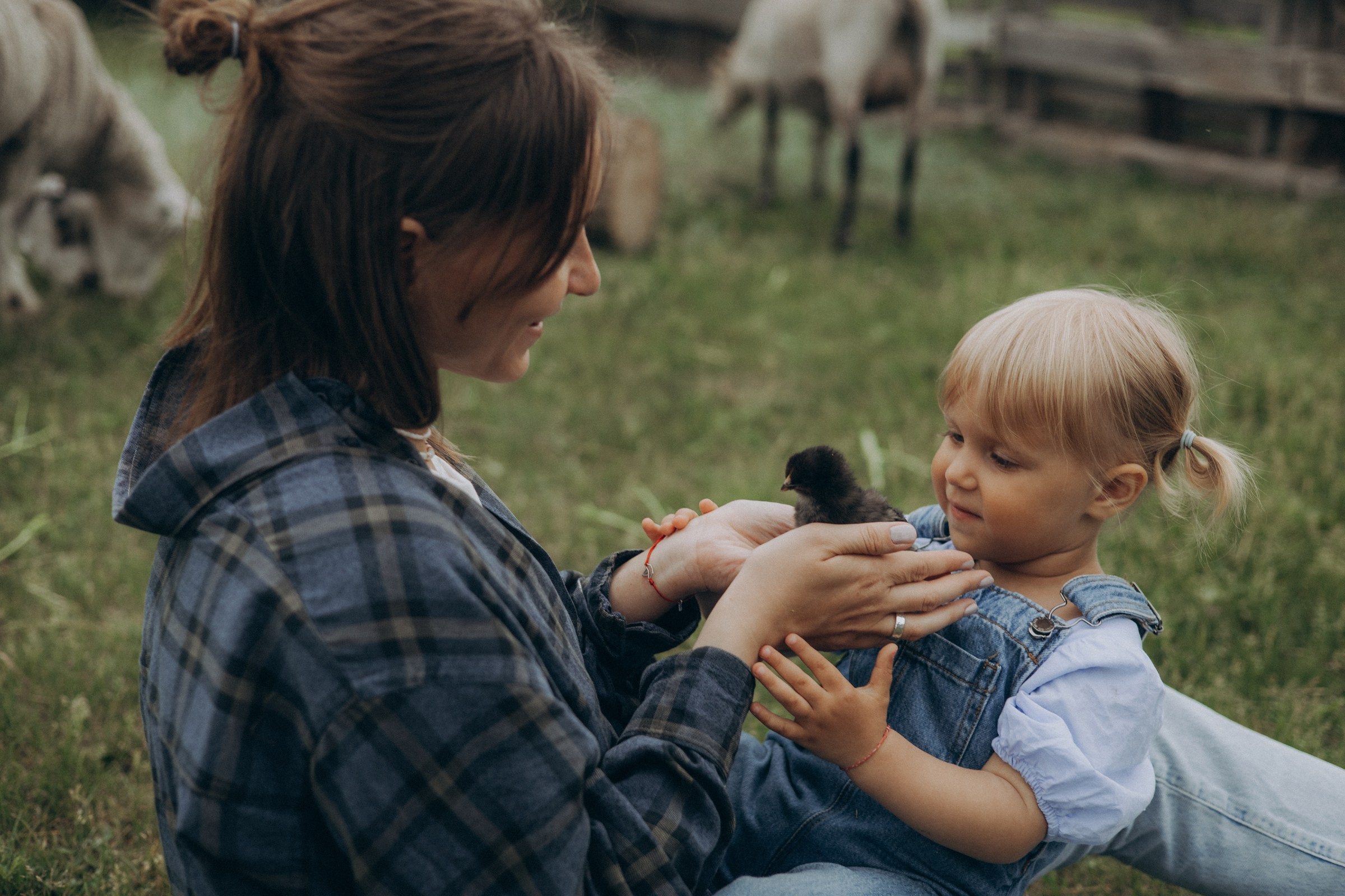 Юля и Саша. Juliashtondic. photo