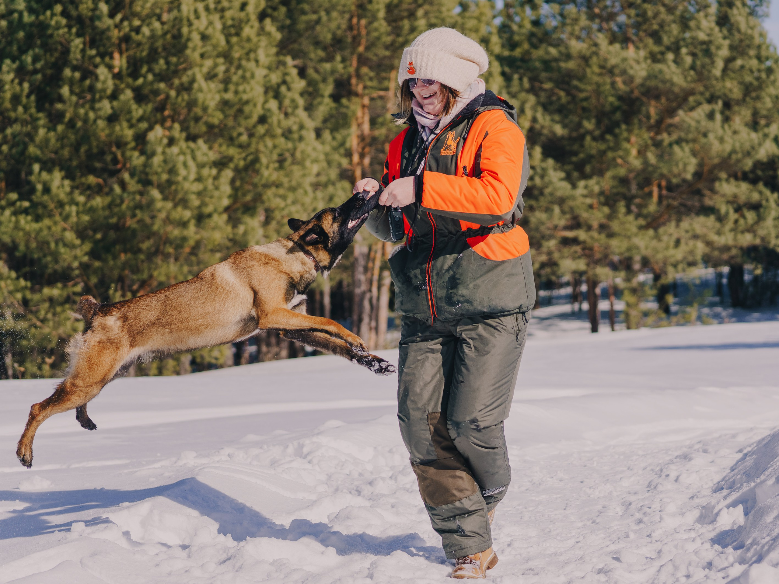 Life with dog. Saamill