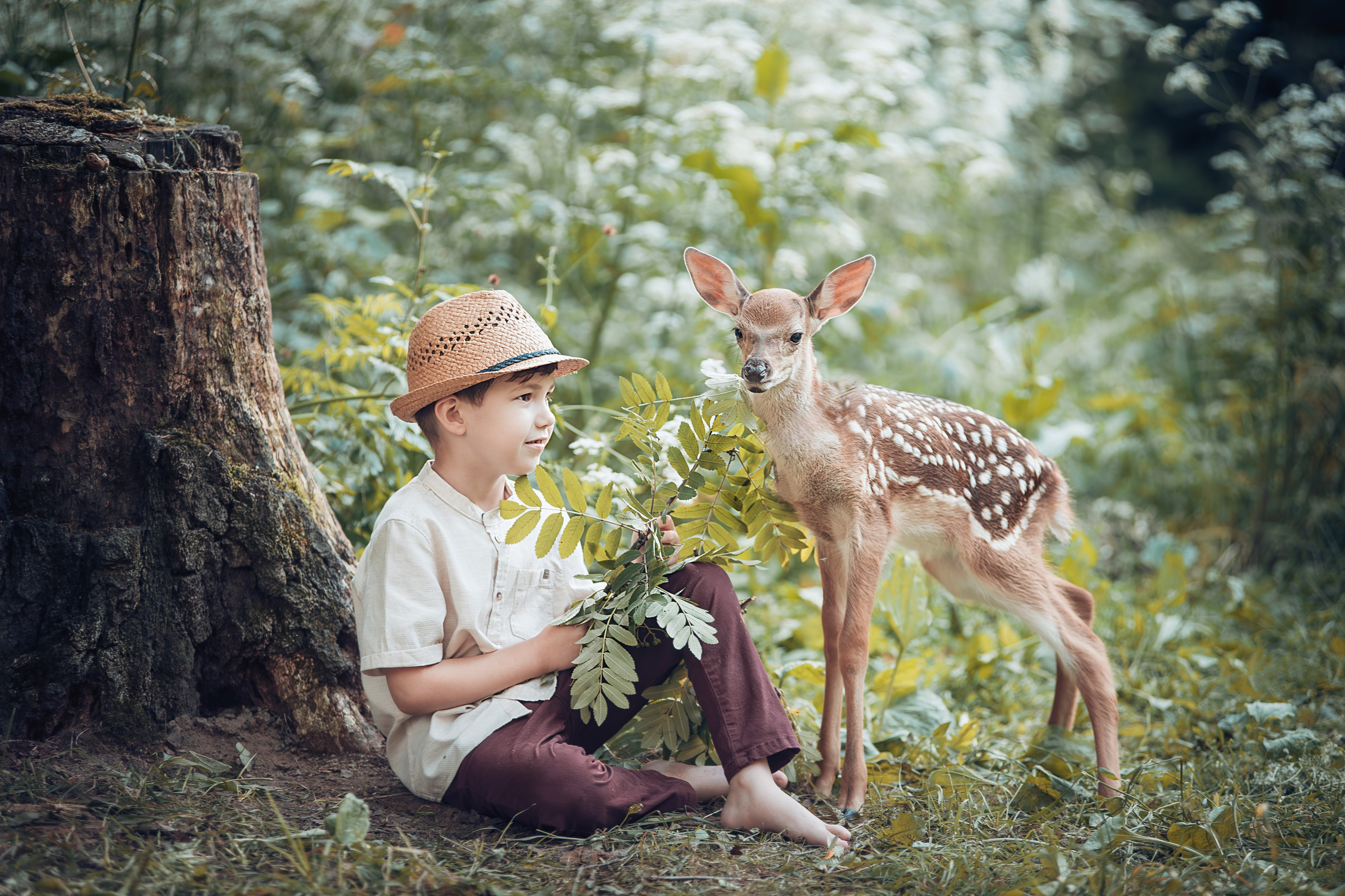 Фотосессия с оленями