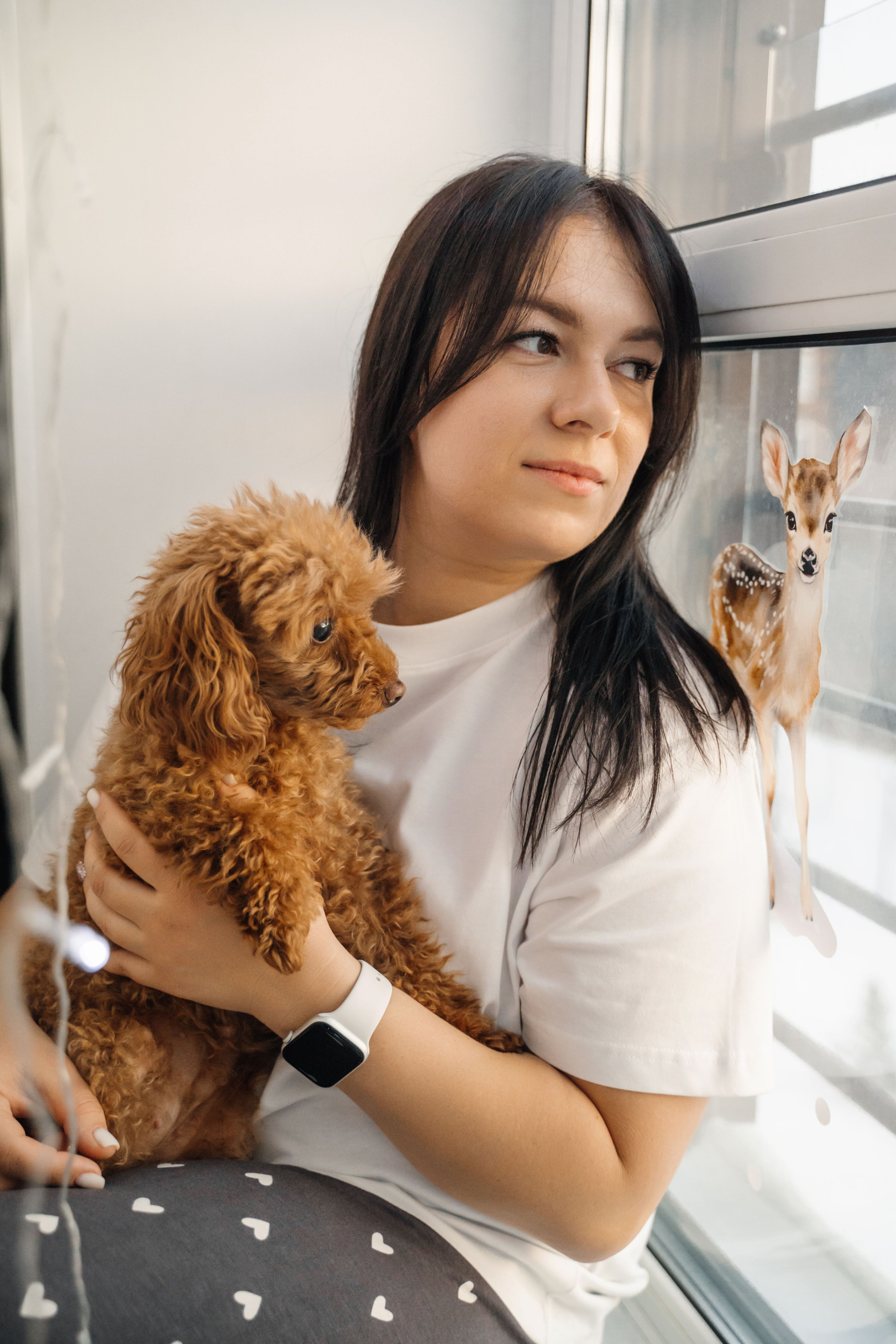 Предновогодний вечер. Главная