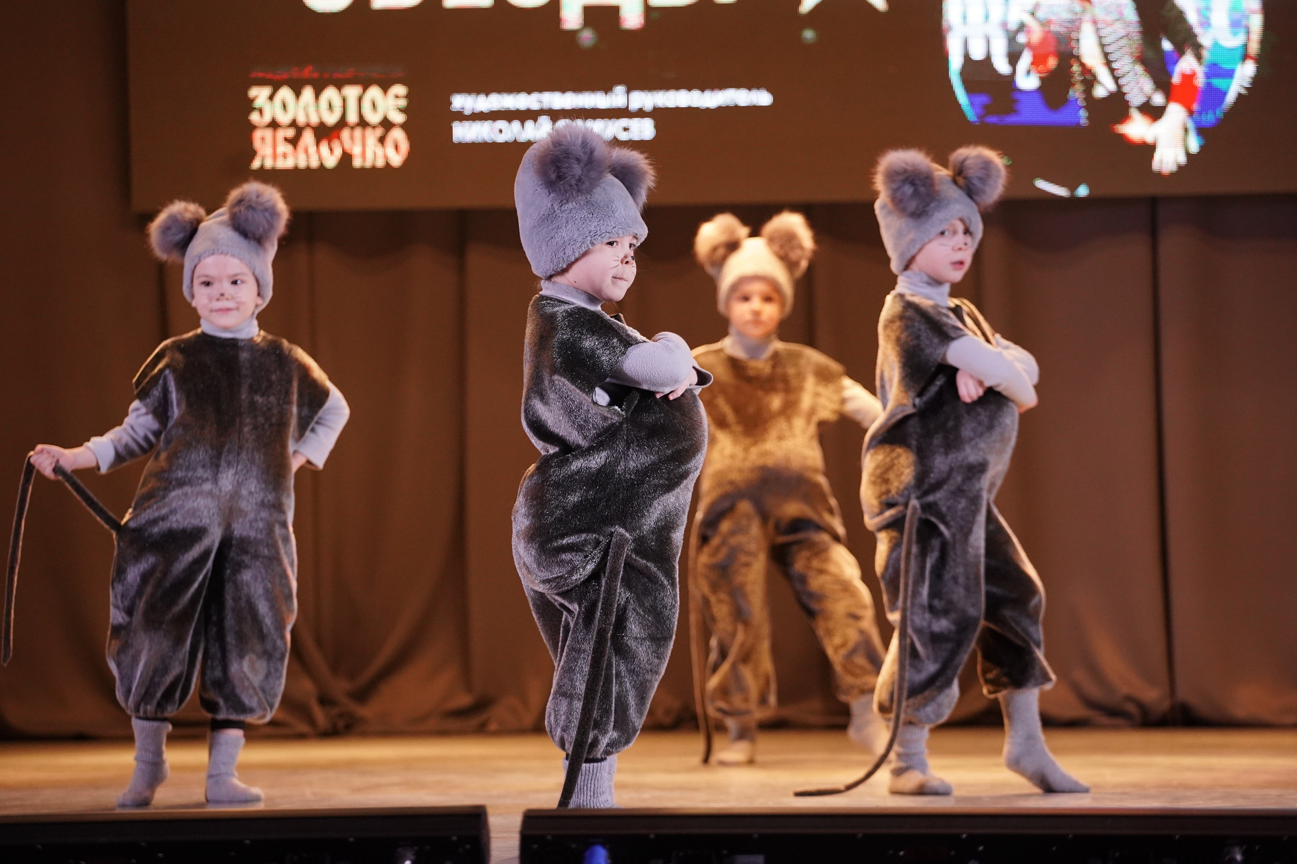 23 февраля, г. Новосибирск. Золотое яблочко