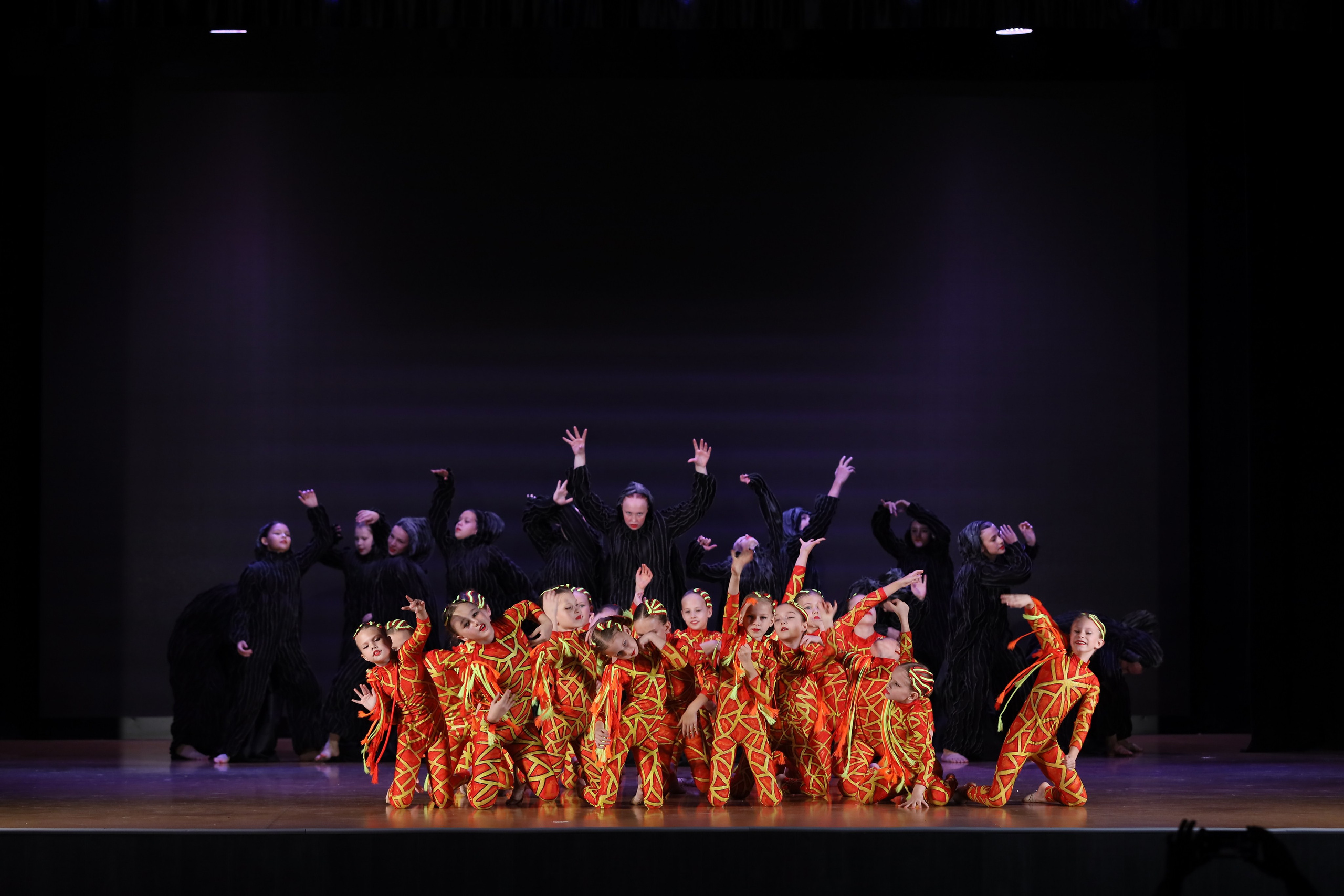 4 ноября, блок 1, видео, номера 49-58, г. Краснодар. Золотое яблочко