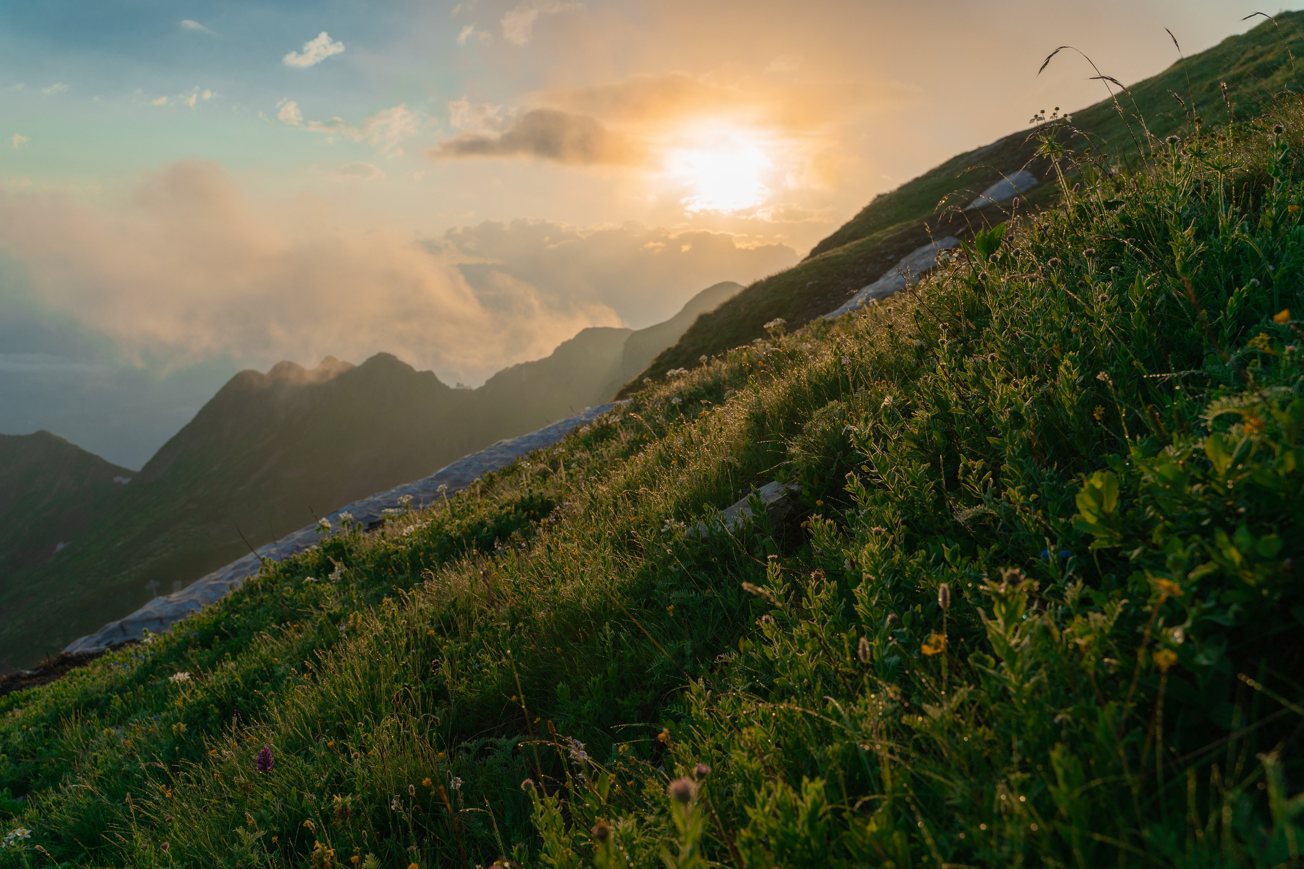 Путешествия и пейзаж. Репортажный фотограф в Красной Поляне и Сочи Павлюченко Екатерина