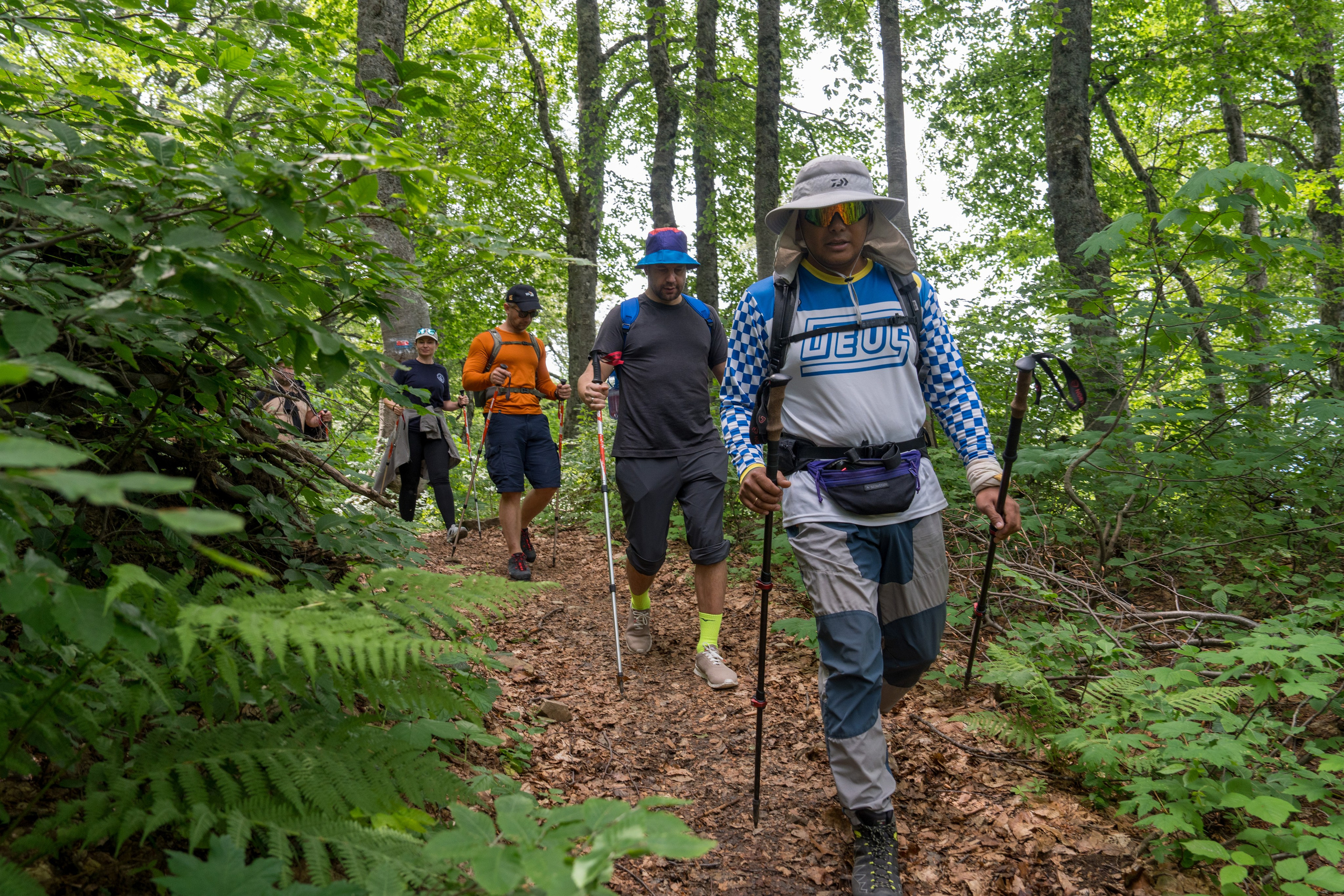 MICE мероприятие для компании «Доставка морем»: хайкинг к Ачипсинским водопадам. Репортажный фотограф в Красной Поляне и Сочи Павлюченко Екатерина