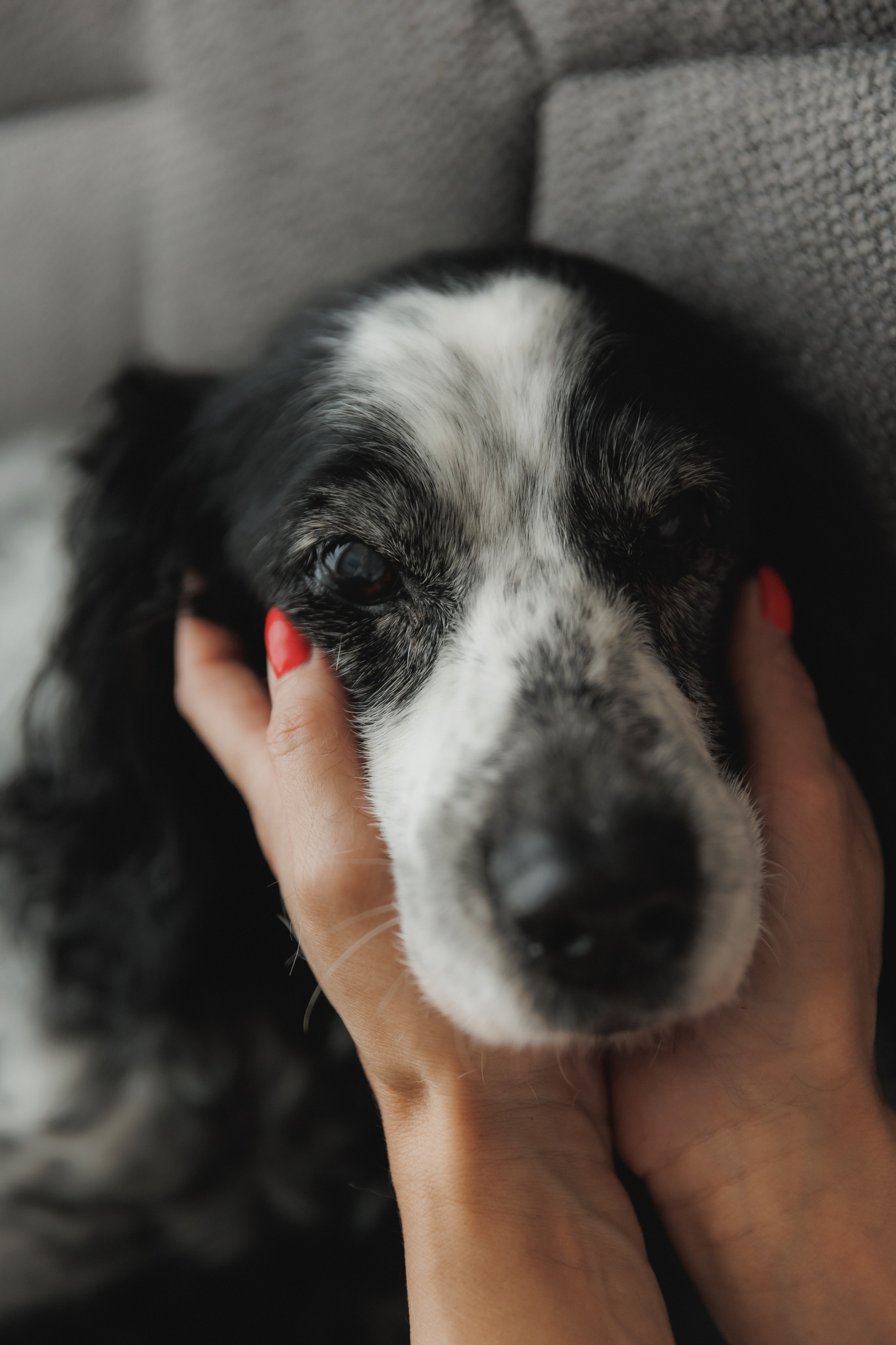 Девочки. Фотограф в Волгограде — Александра Искандерова