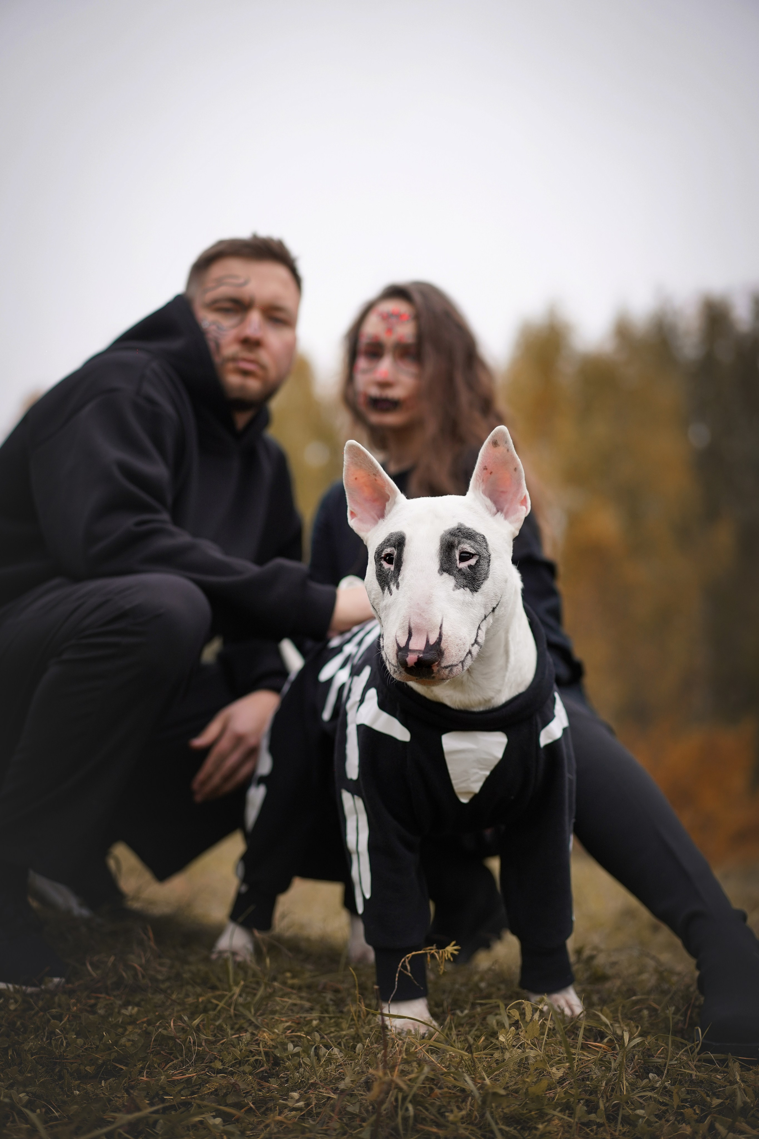 Настя Рома и Сахар Хелоуин. Фотограф-анималист в Санкт-Петербурге Яна Мартынова