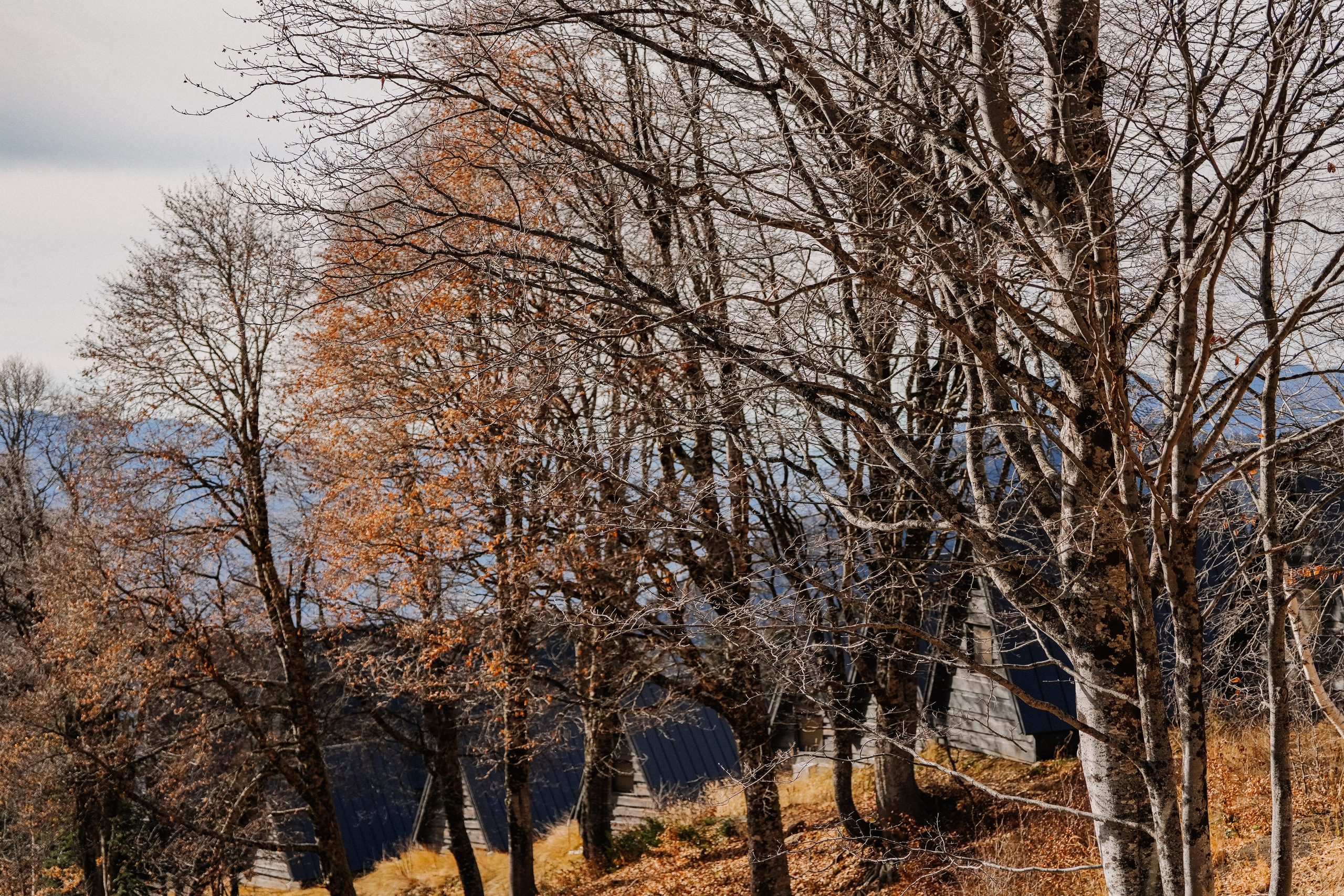 Роза Хутор ✽ Ноябрь. Репортажный фотограф | Роза Хутор Красная Поляна Сочи Сириус