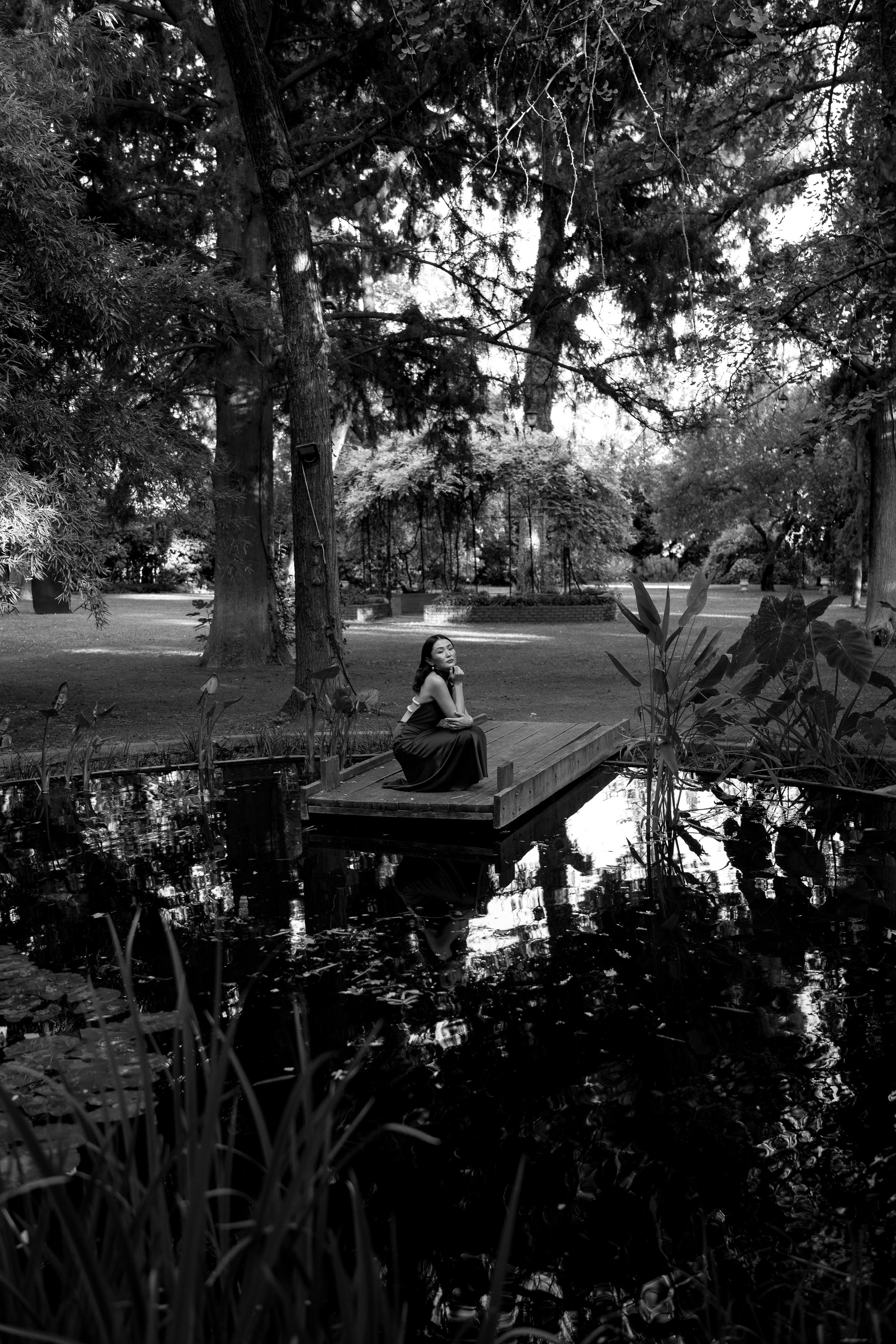 Aya. İrandek. Fotoğrafçı. İzmir