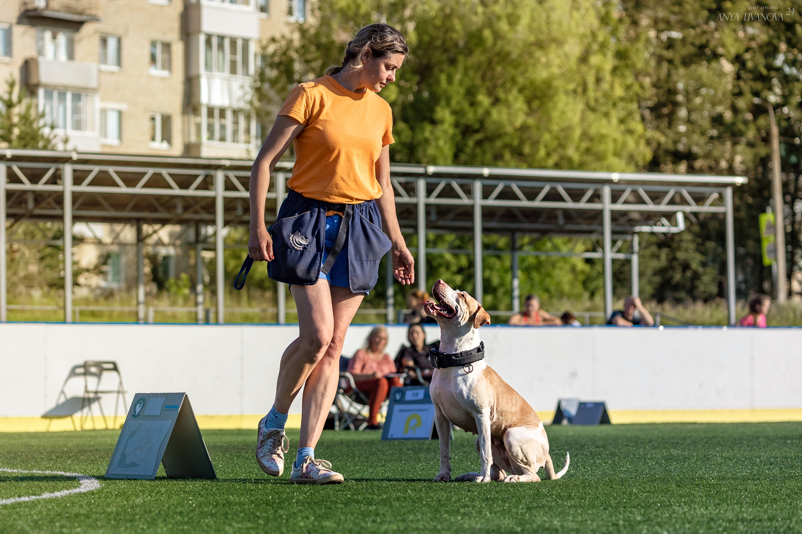 Ралли обидиенс. Фотограф анималист Аня Ливанова | Рыбинск