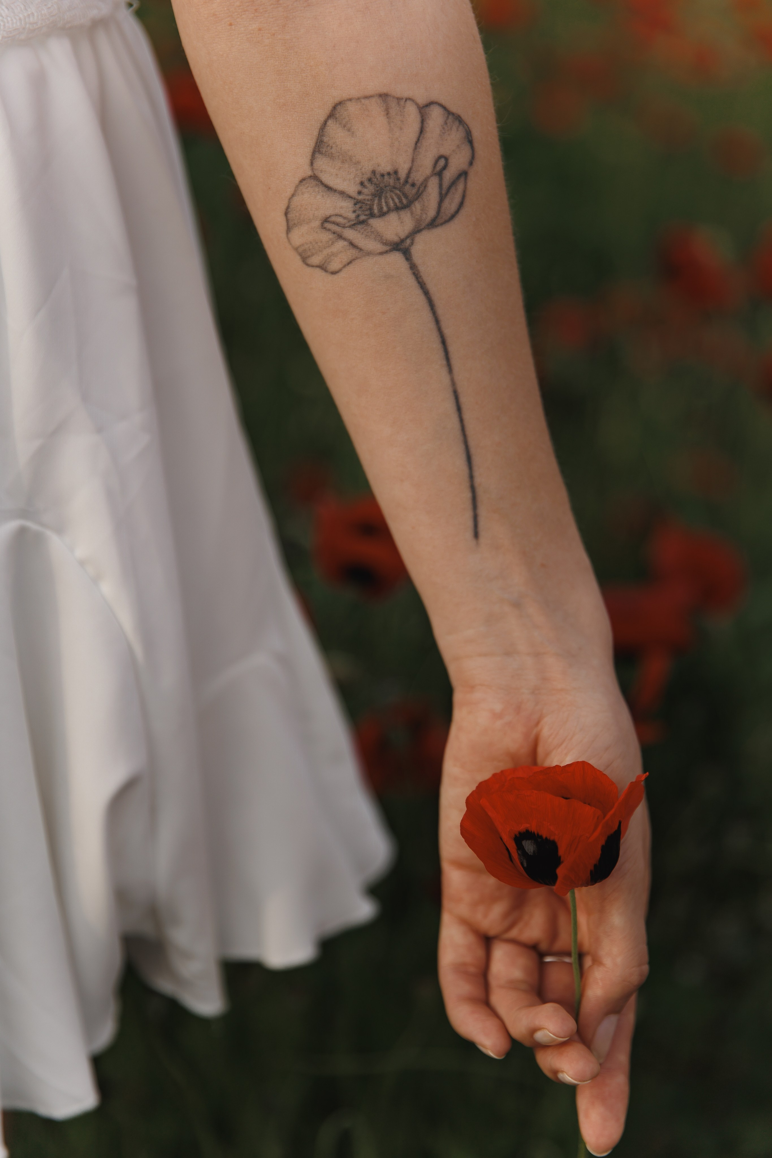 Miroslava&Ilia in Kaheti. Wedding photographer in St. Petersburg, Europe and Israel Anna Agafon