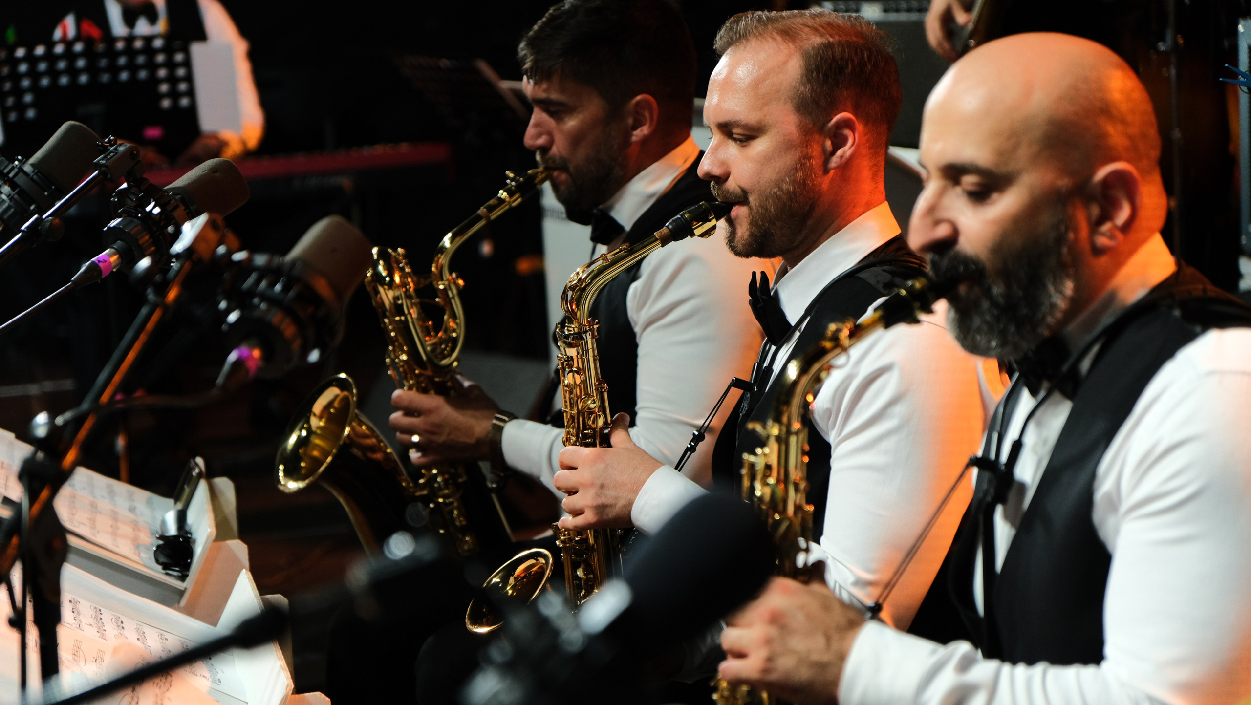 Фестиваль Джаза в Сочи. Фотограф Сочи Евгений Соколов