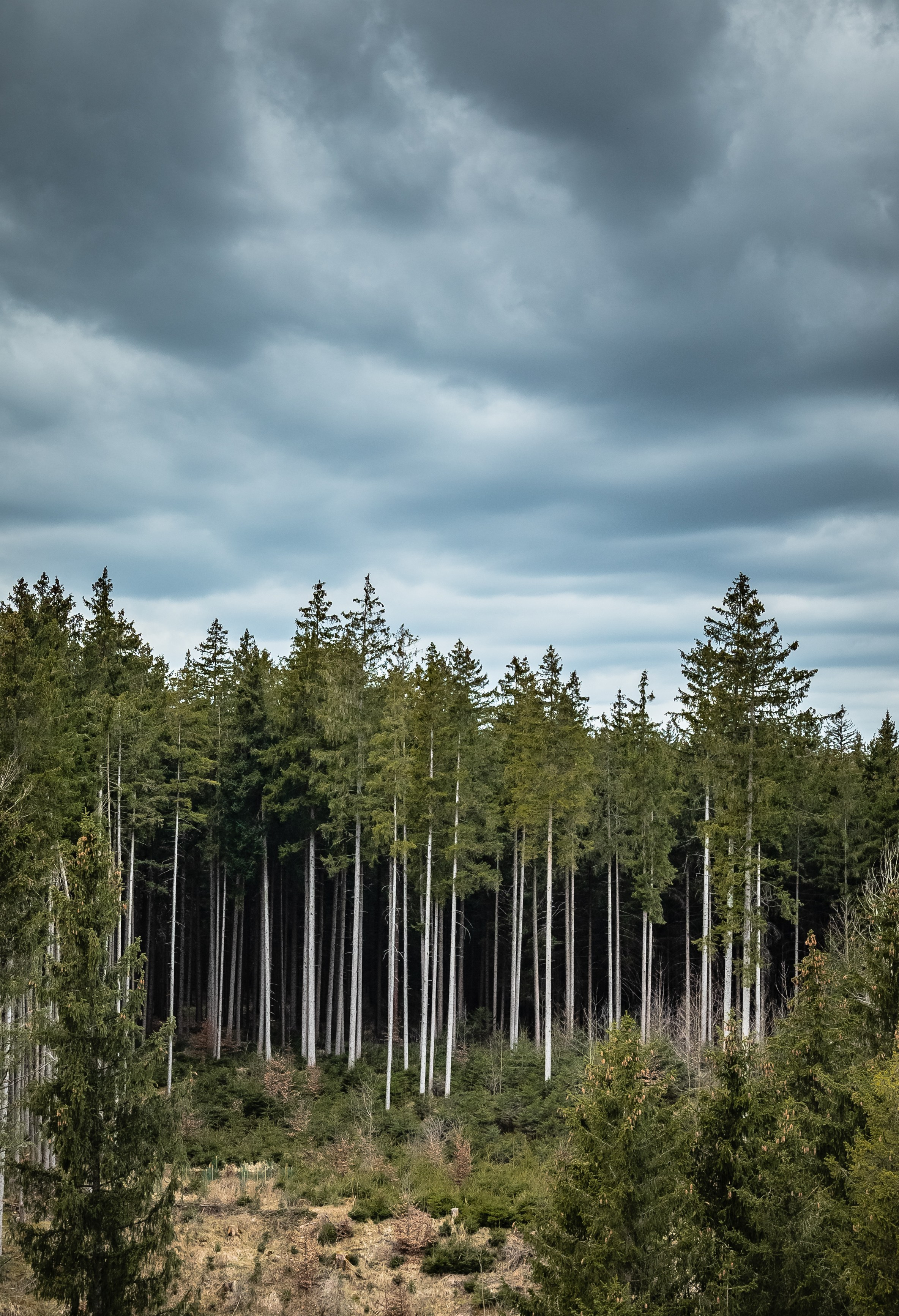 TRAVEL&NATURE. NE Cinema — backstage and reportage photography in cinema, music, Automotive and sport