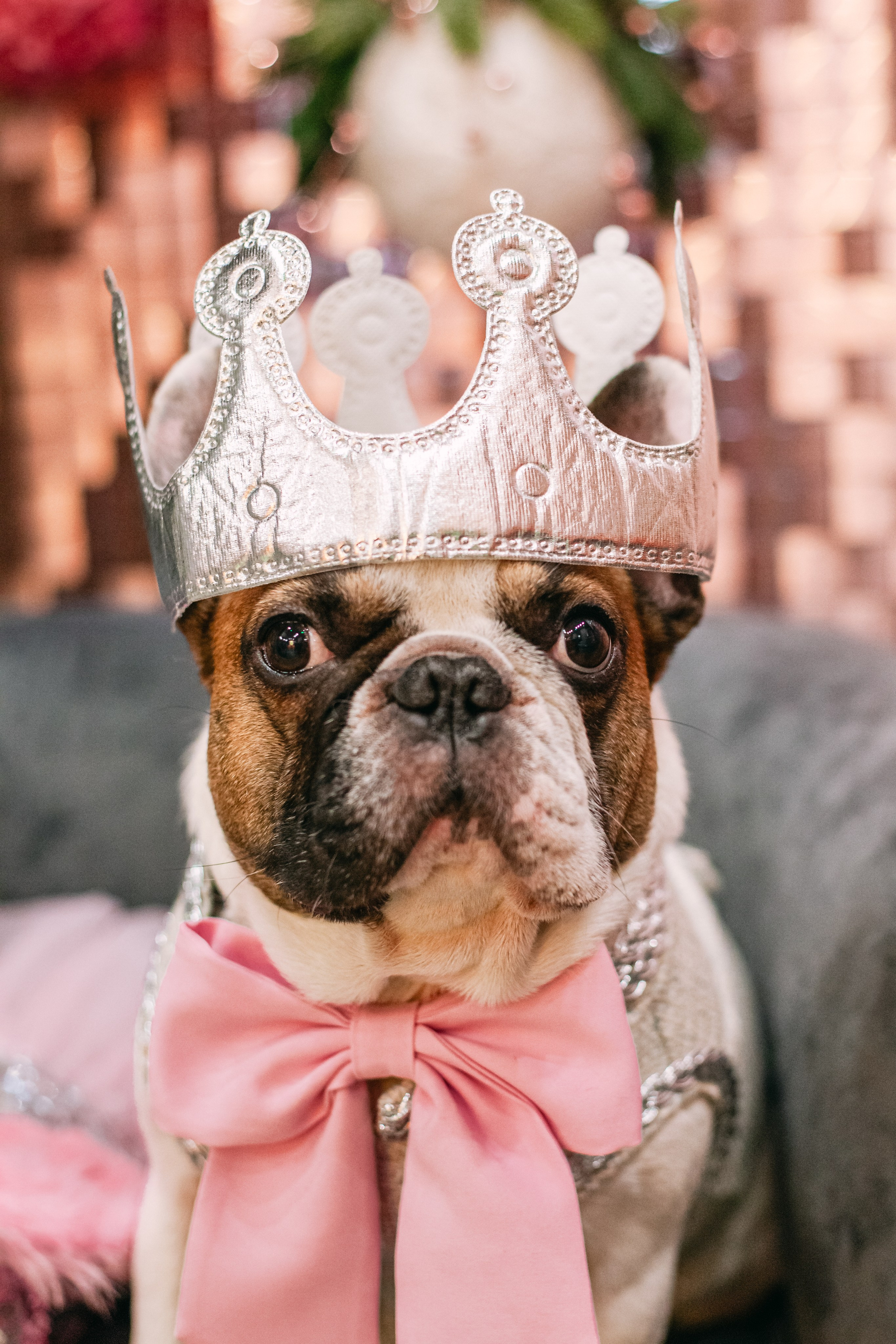 Бульёлка 2024. Фотограф-анималист Татьяна Степанова