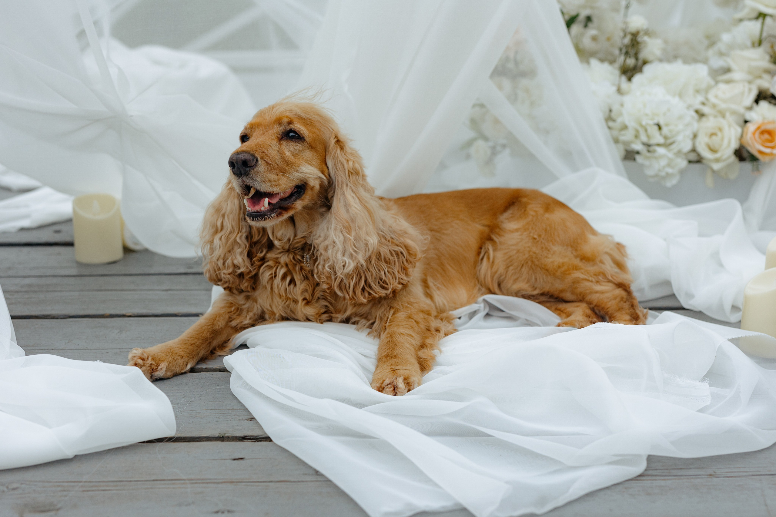 Nastja-Maxim. Главная