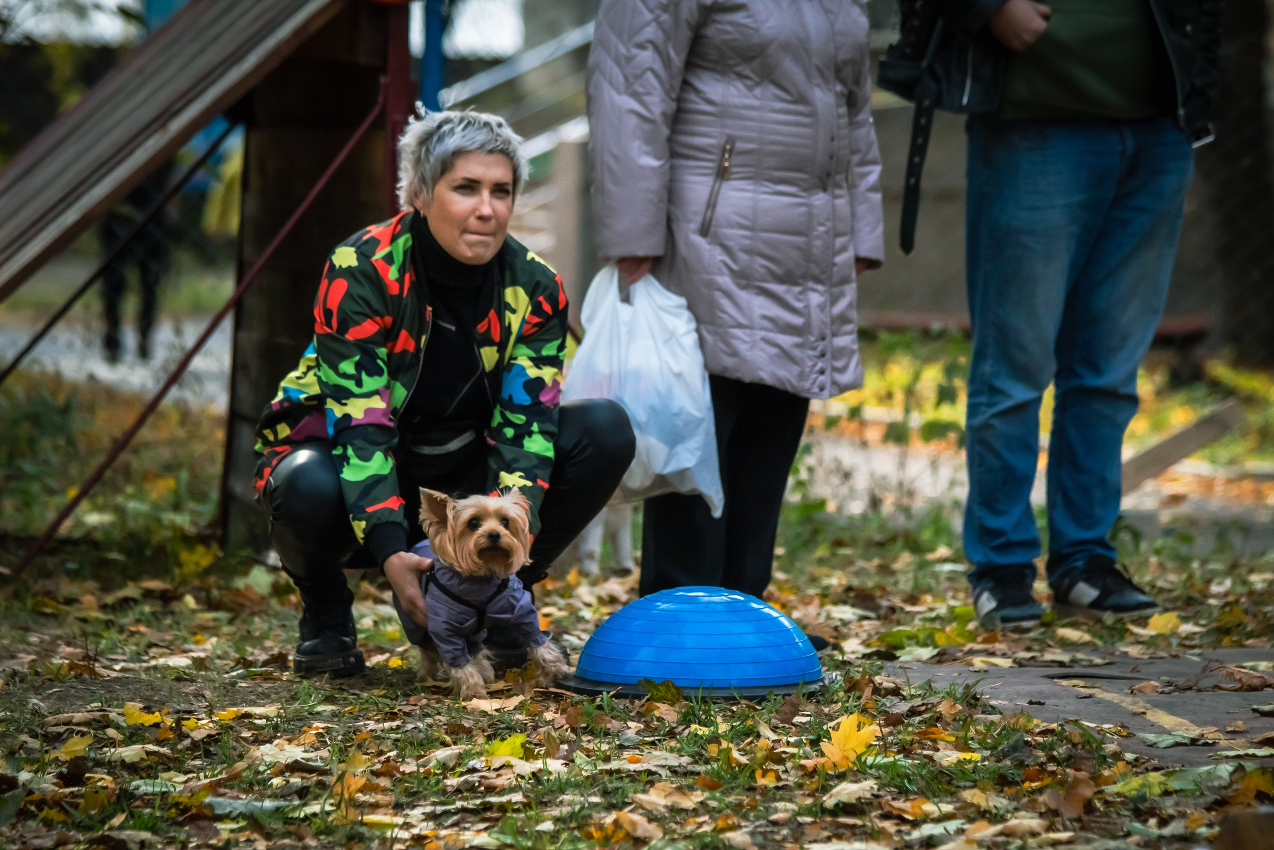 Костюмированный парад собак. Фотограф анималист — Тула, Москва