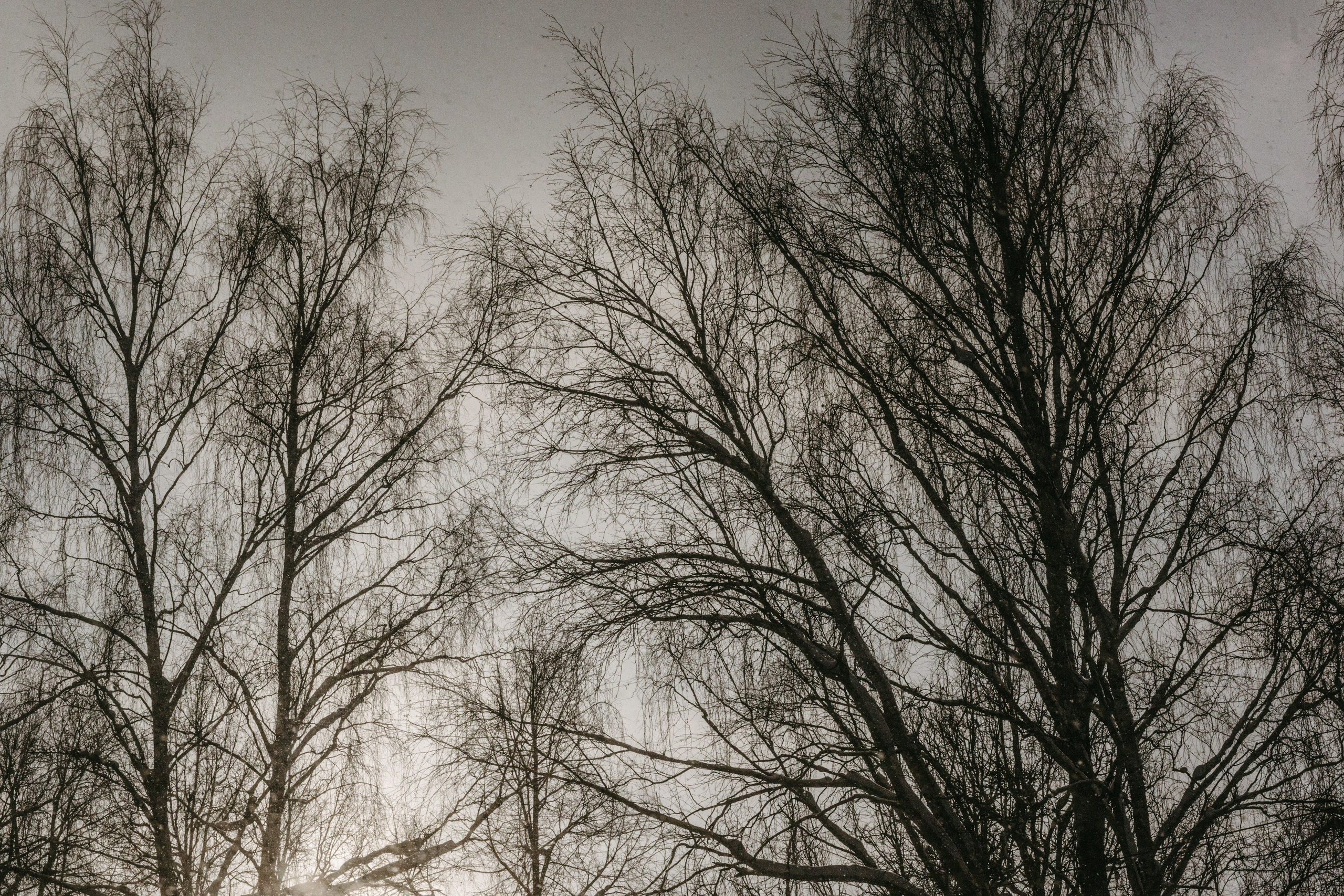 Виды из поезда. Фотограф Эльмира Лин