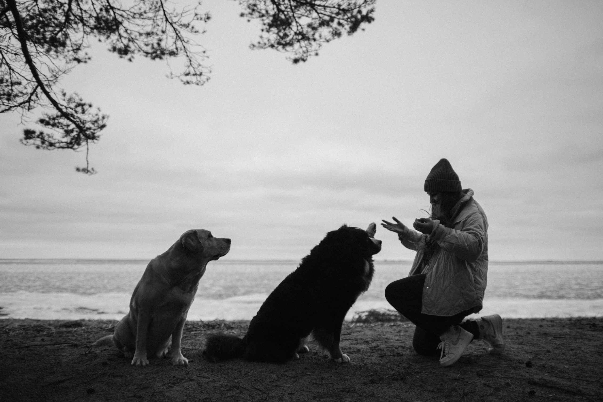 Прогулка: берн Пума, Фрэнк и Юля в Питере. Портфолио