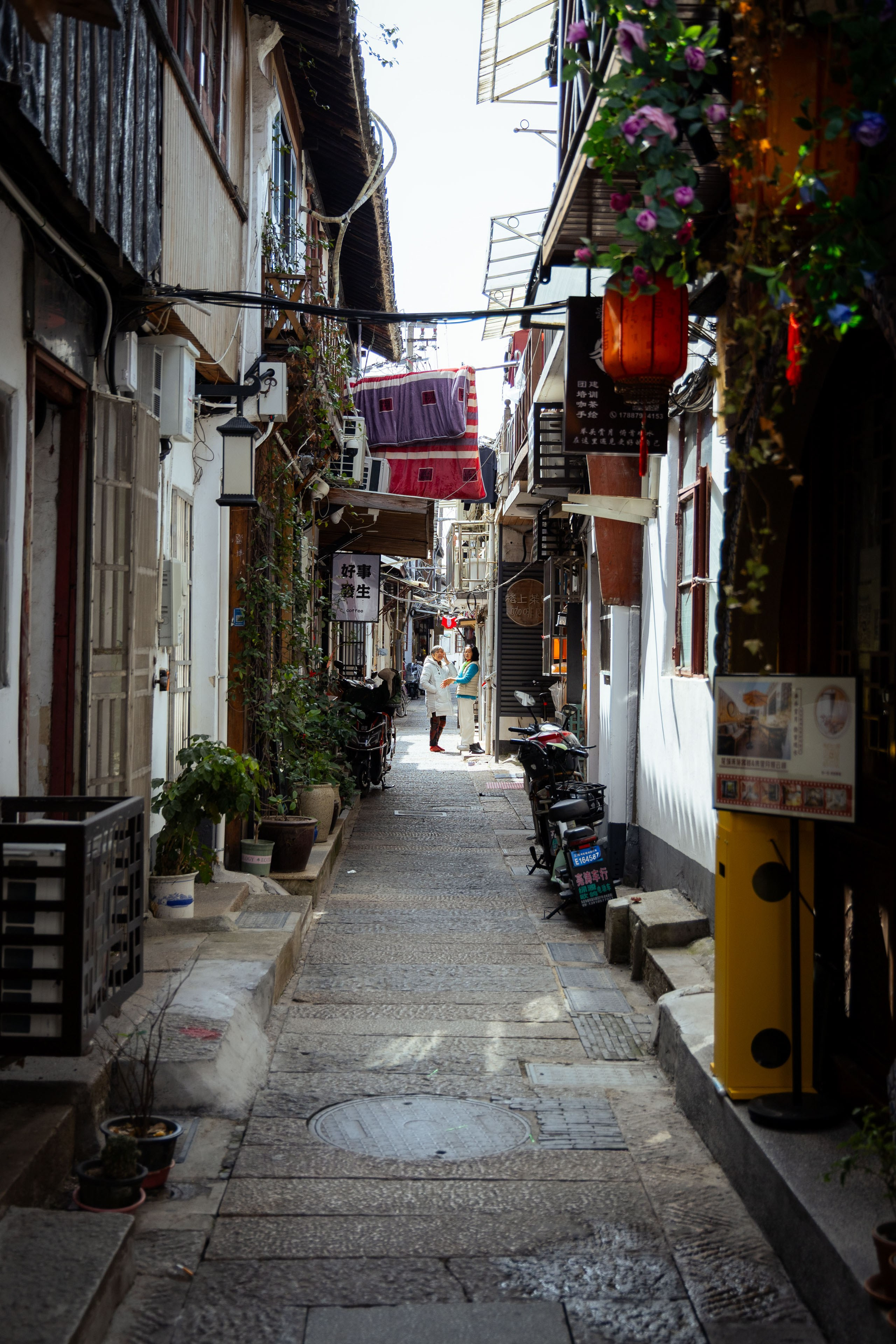 Шанхай (март 2026). Фотограф Виноградов Константин