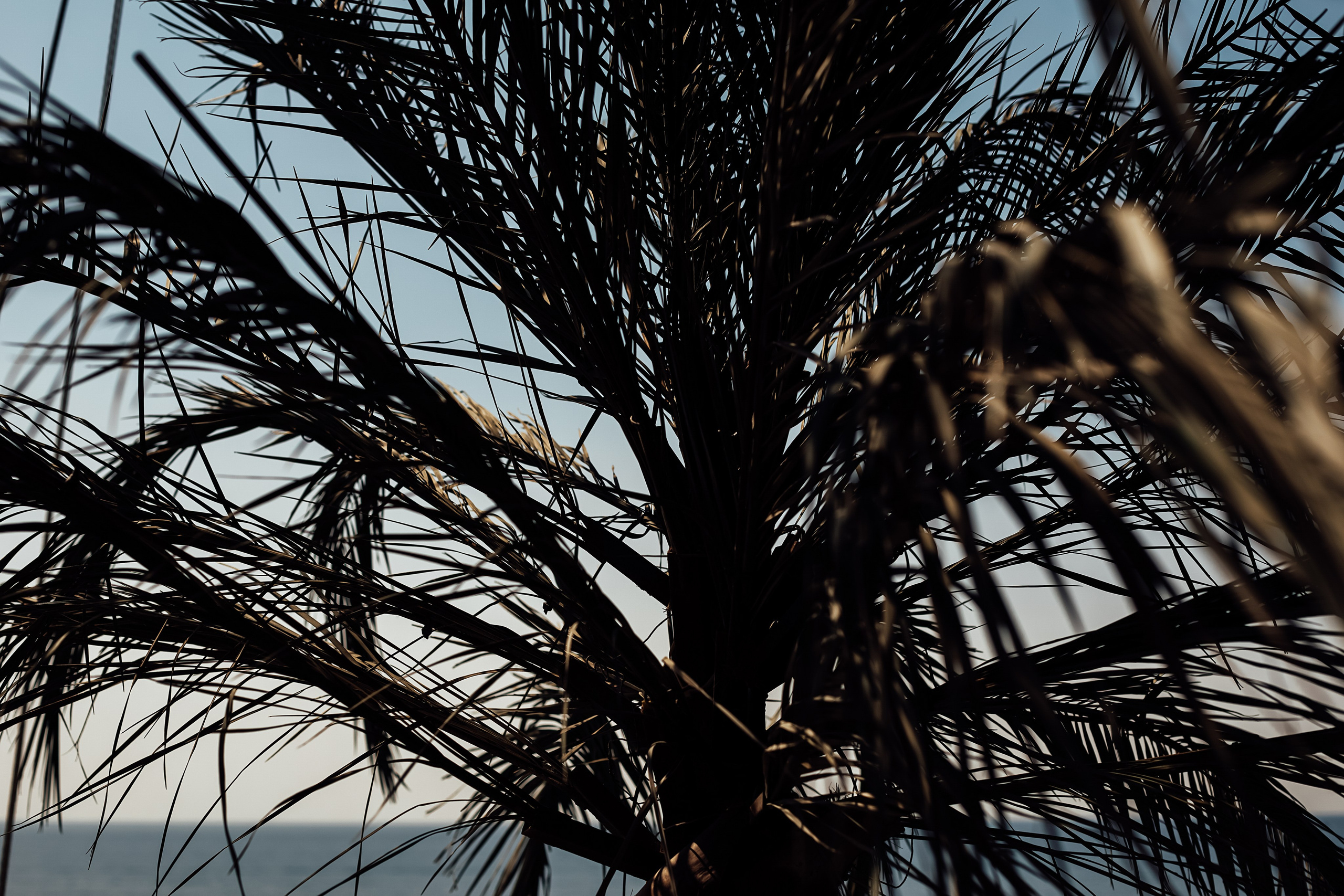 Турция. Свадебный и семейный фотограф/видеограф в Краснодаре Наталья Осинская